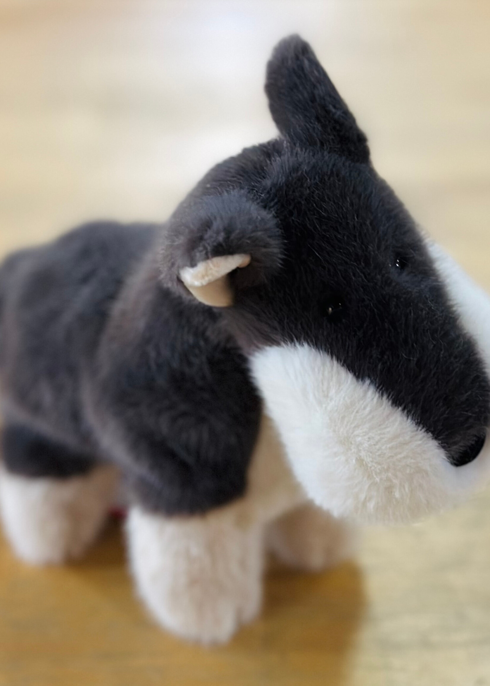 Douglas Stuffy - Wayne Wolf Muzzle