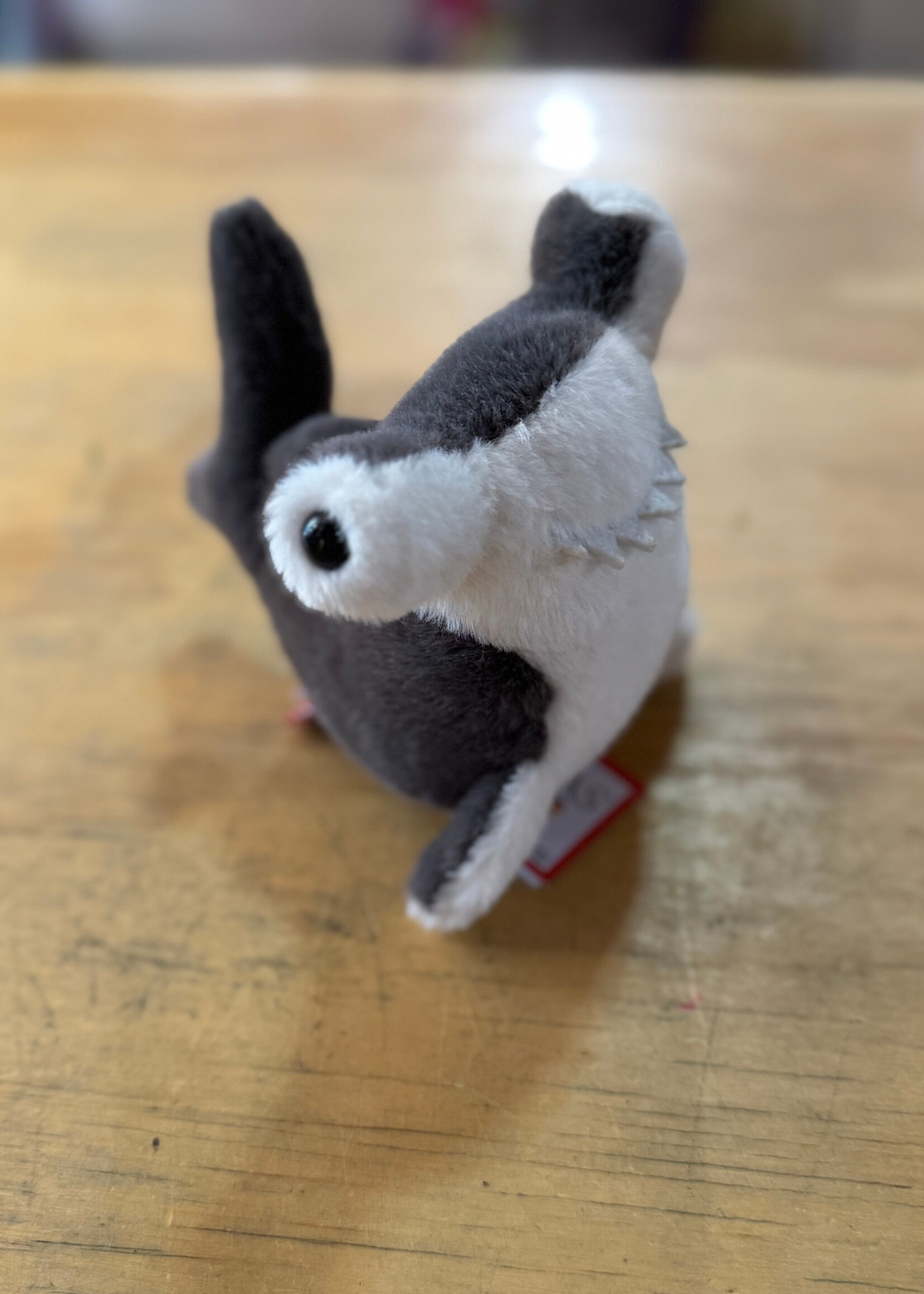 Douglas Stuffy - Baby Hammerhead Shark