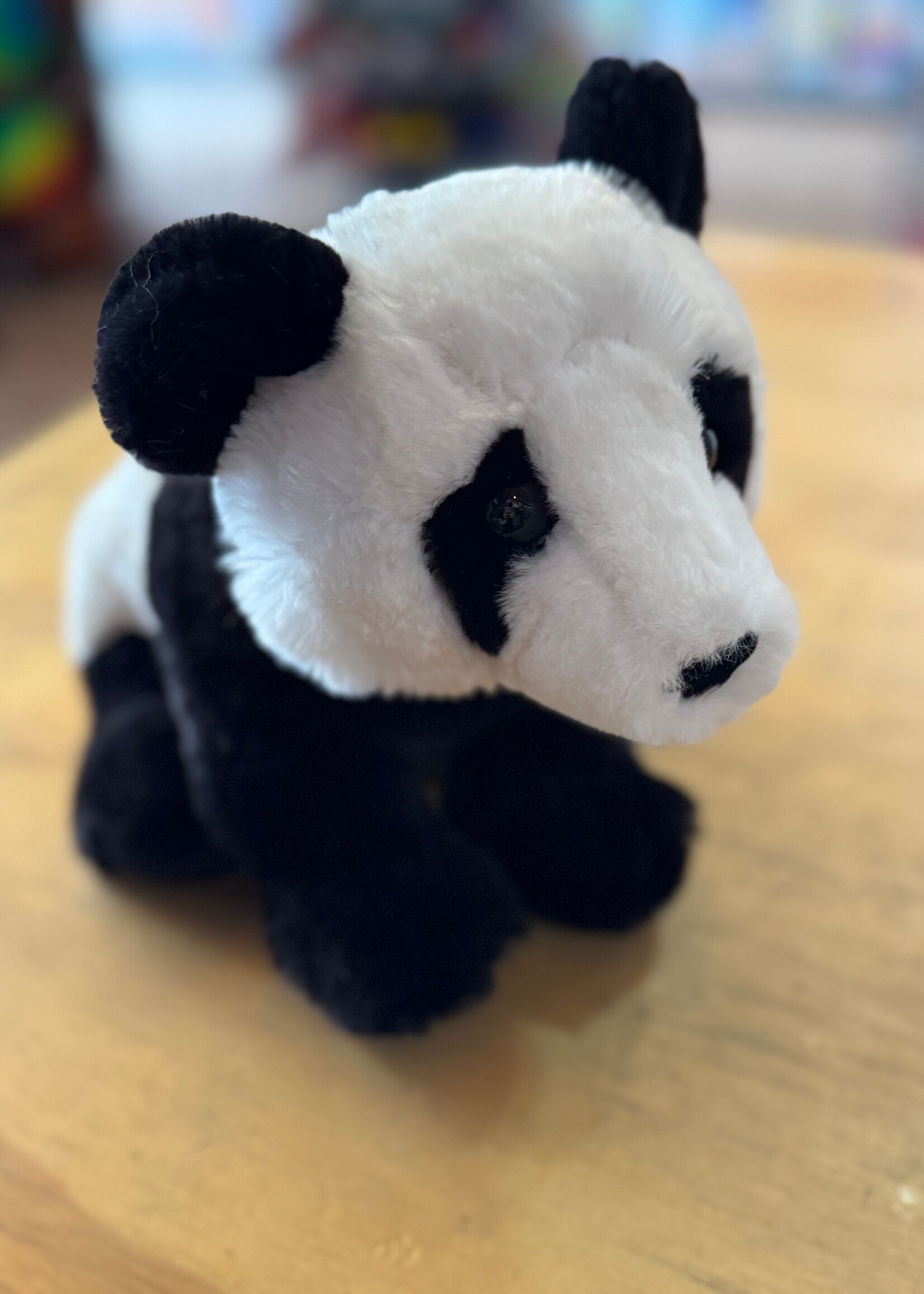 Douglas Stuffy - Randie Panda