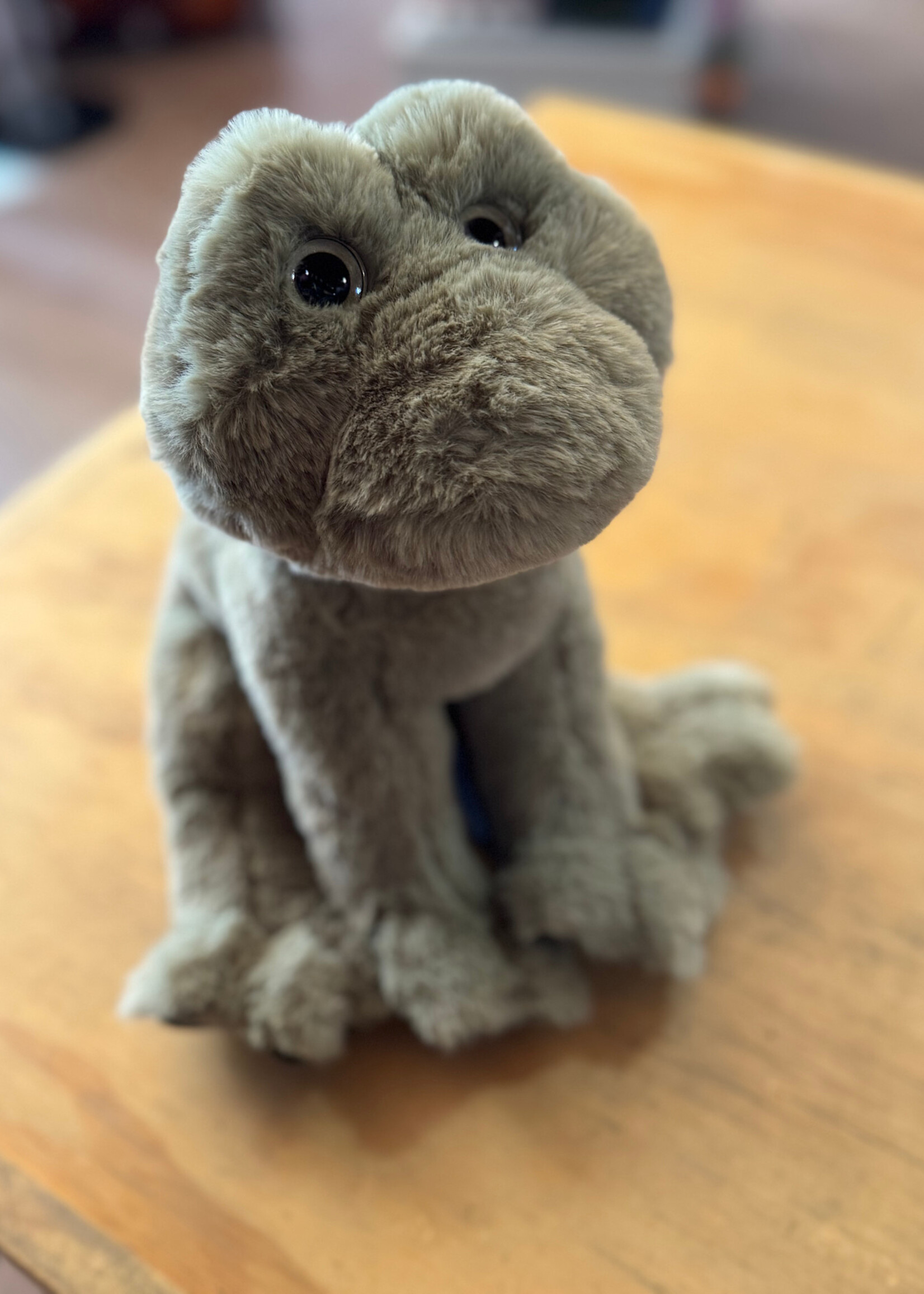 Douglas Stuffy - Finnie Frog