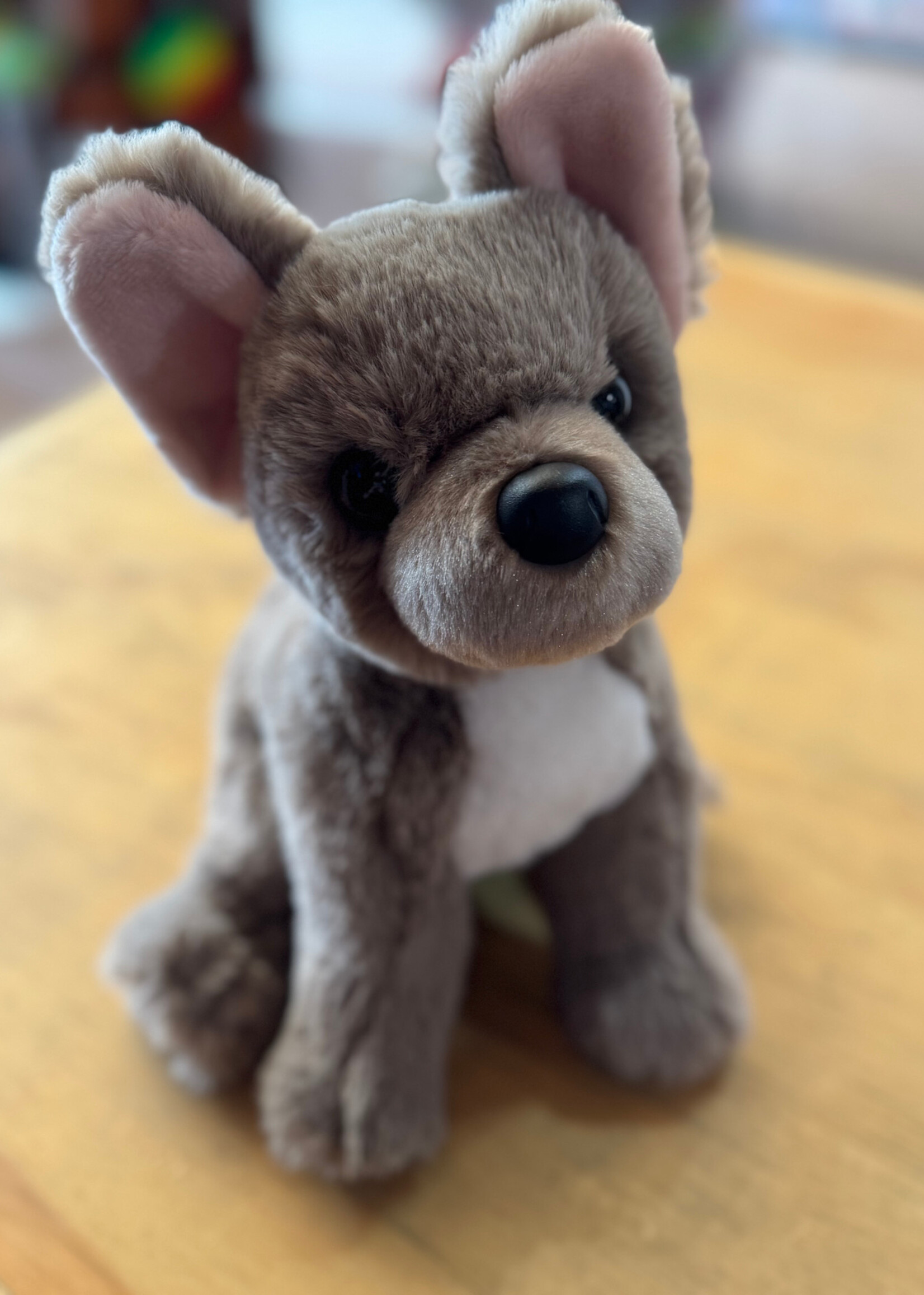 Douglas Stuffy - Gabbie French Bulldog