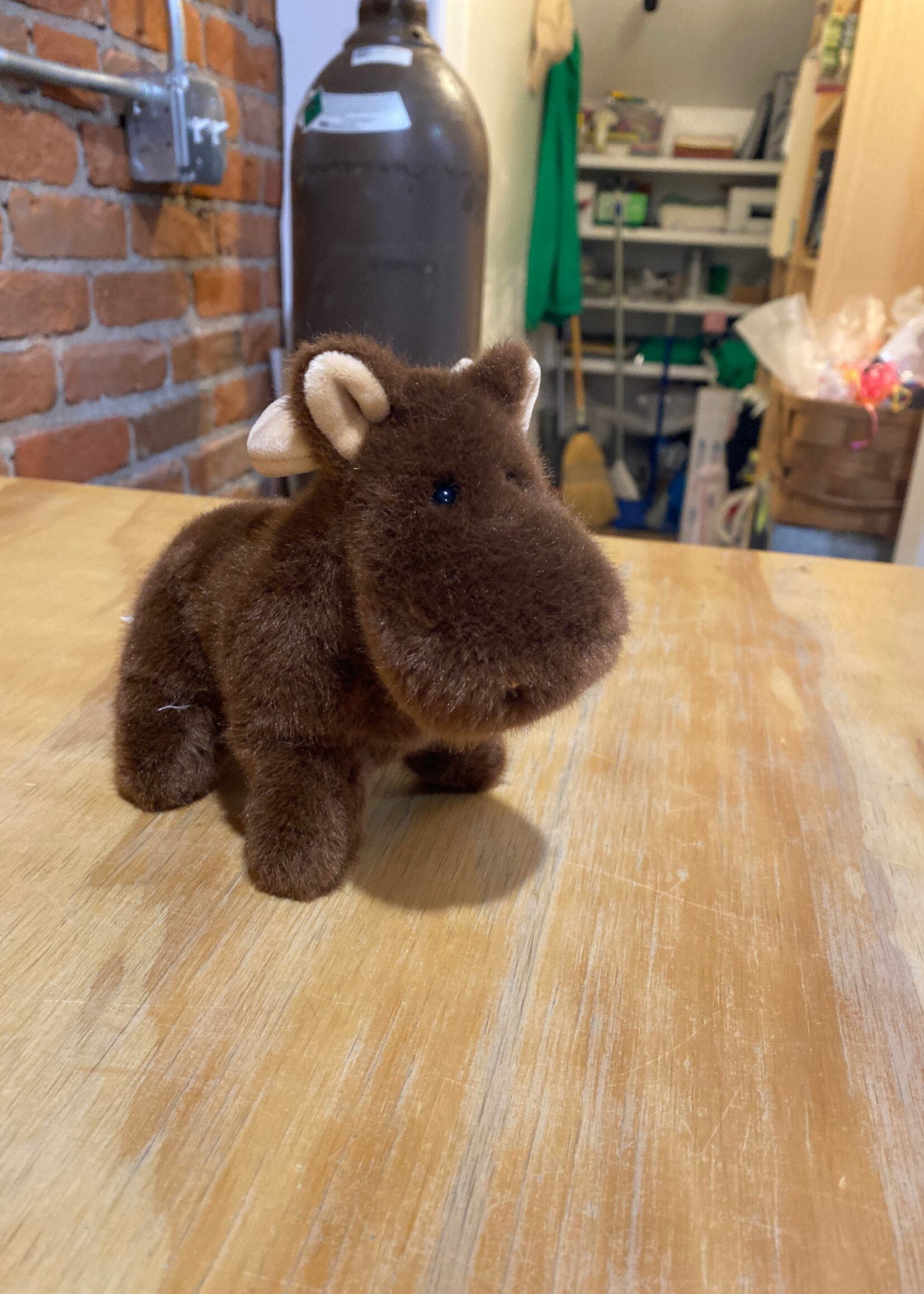 Douglas Stuffy - Martin Moose Muzzle