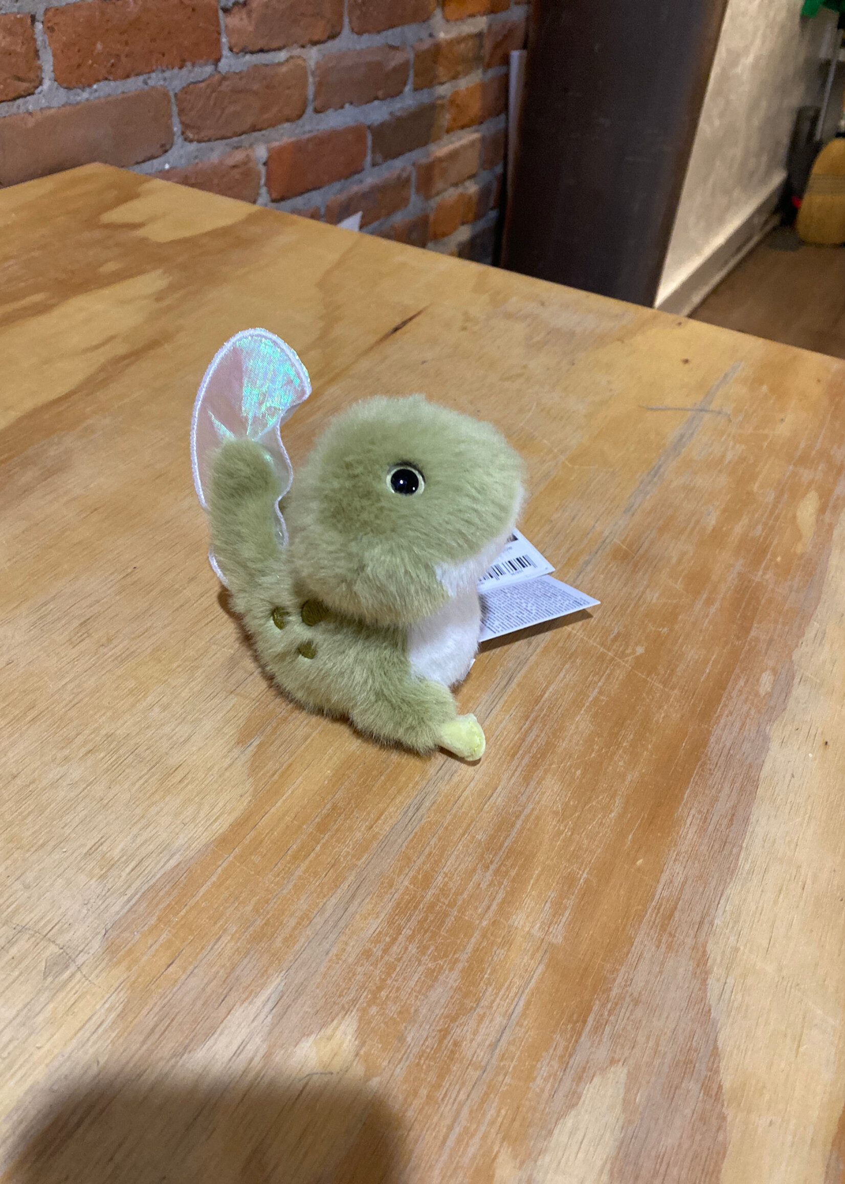 Douglas Stuffy - Taddie Tadpole