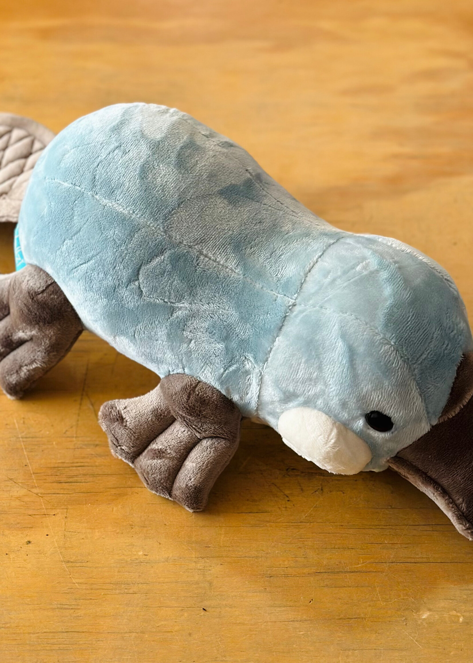 Bellzi Stuffy - Plati the Platypus