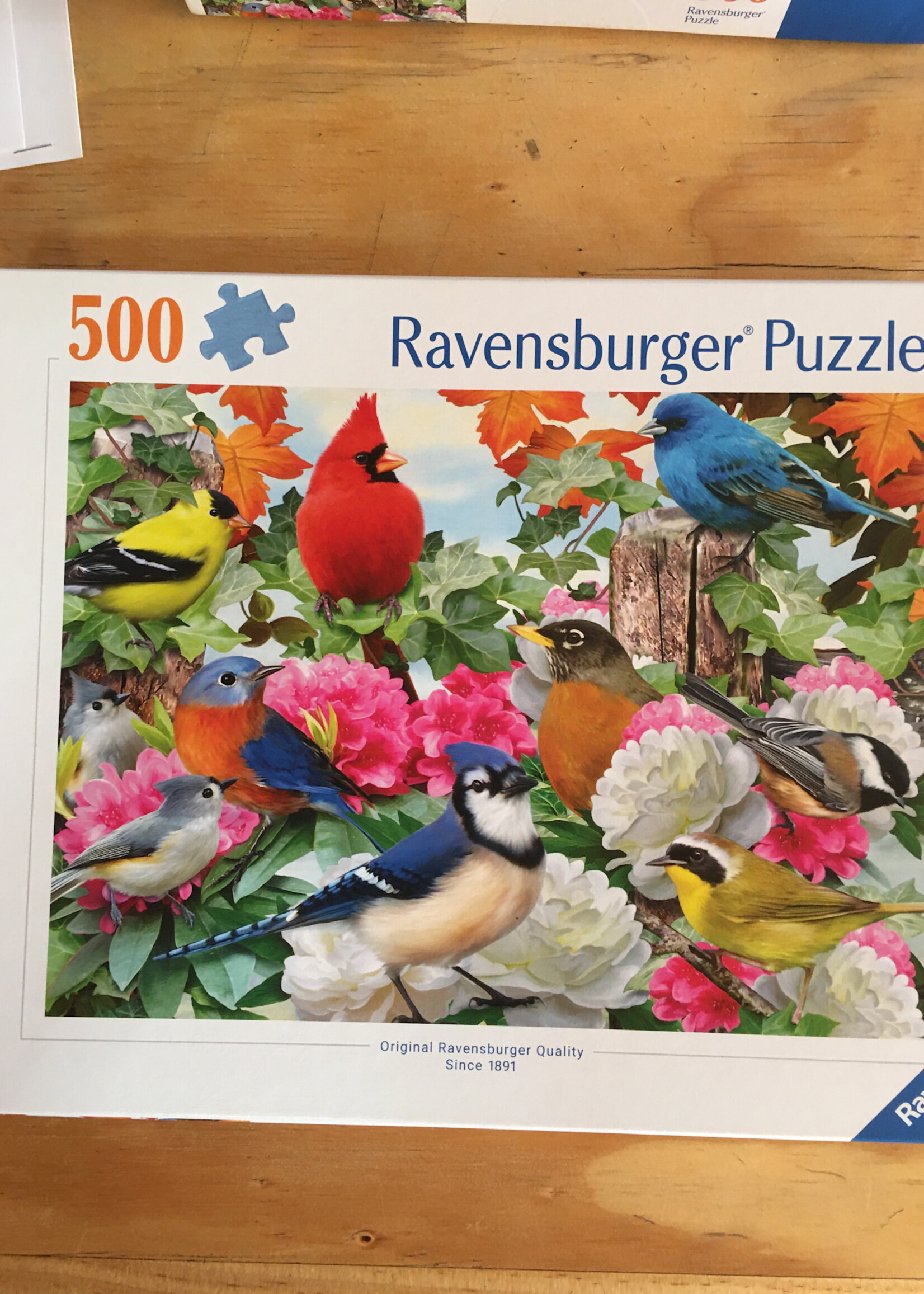 Ravensburger Puzzle - Garden Birds 500 Pc.