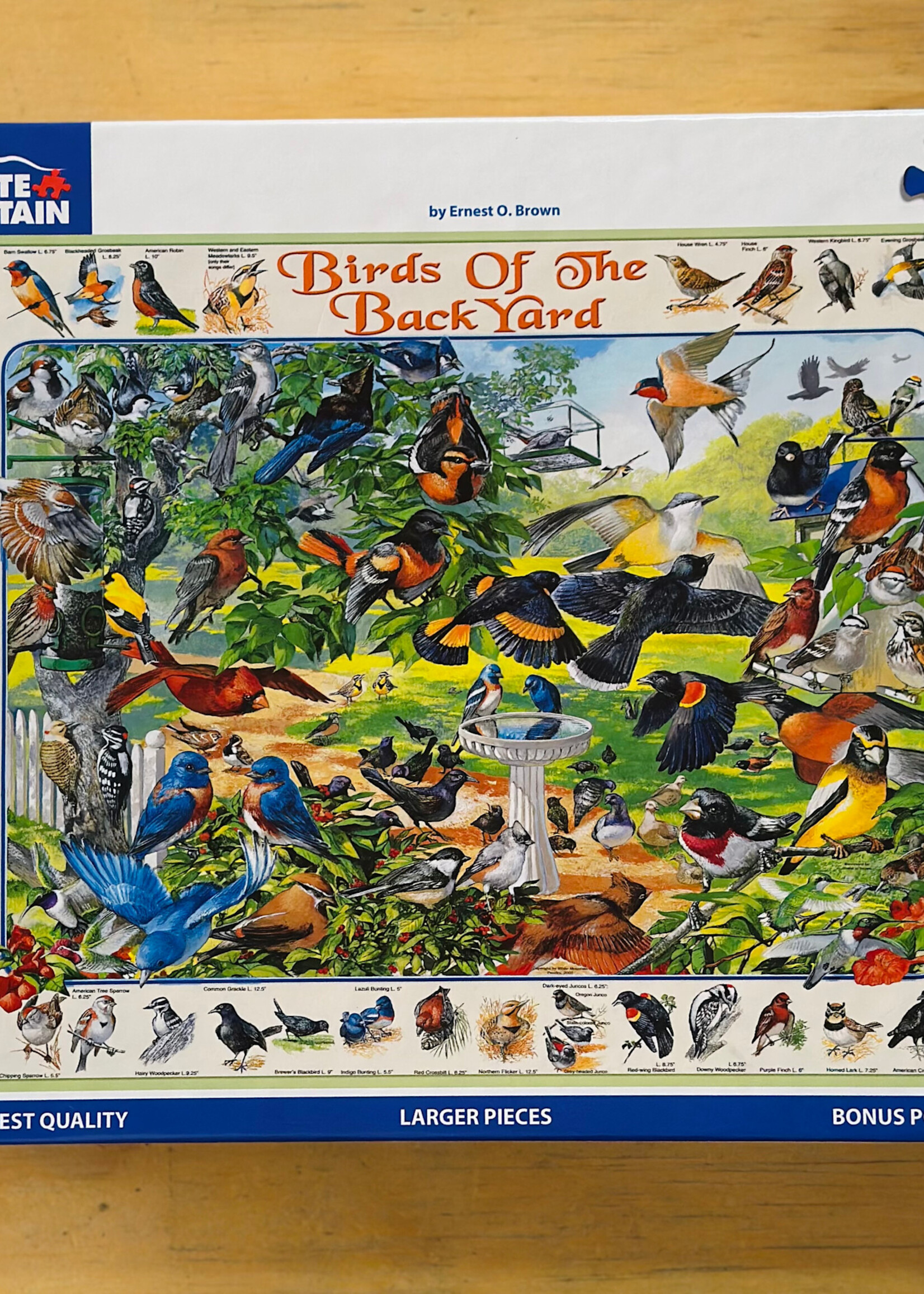 White Mountain Puzzles Puzzle - Birds of the Back Yard 1000 Pc.