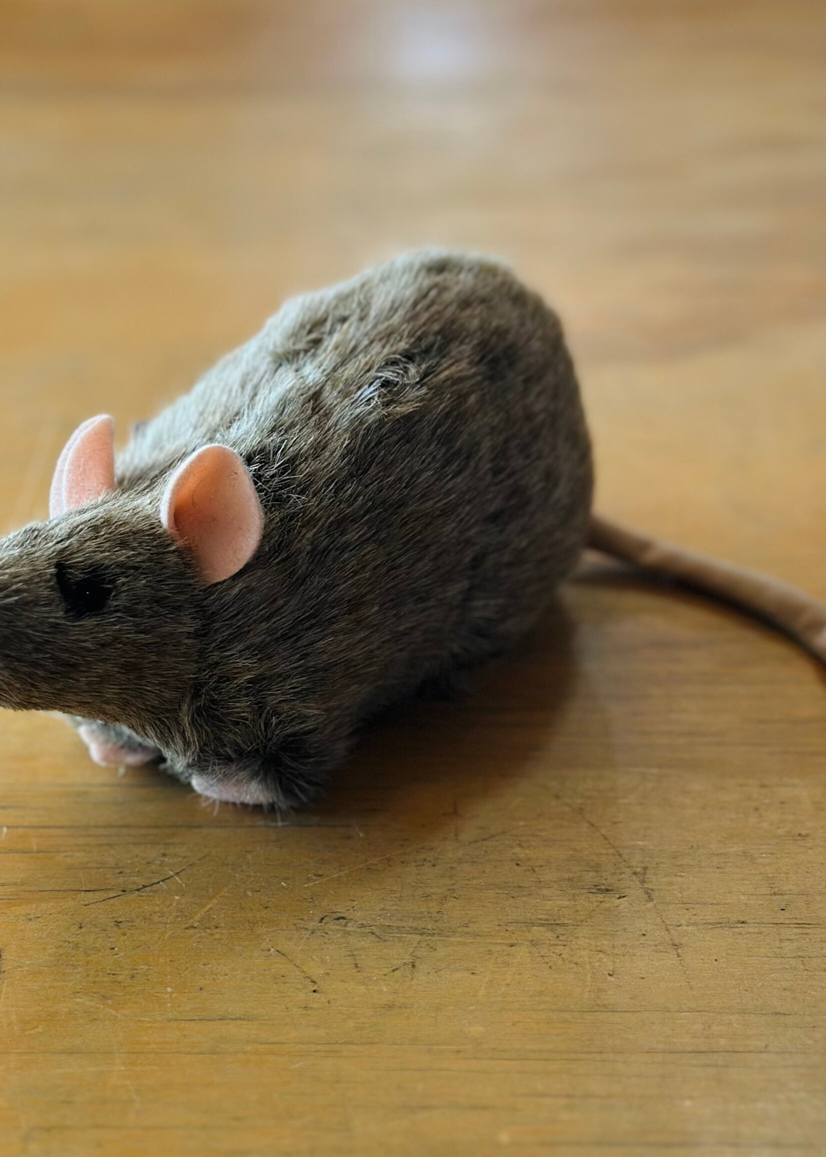 Tiger Hart Toys Stuffy - 7” Reuben the Rat