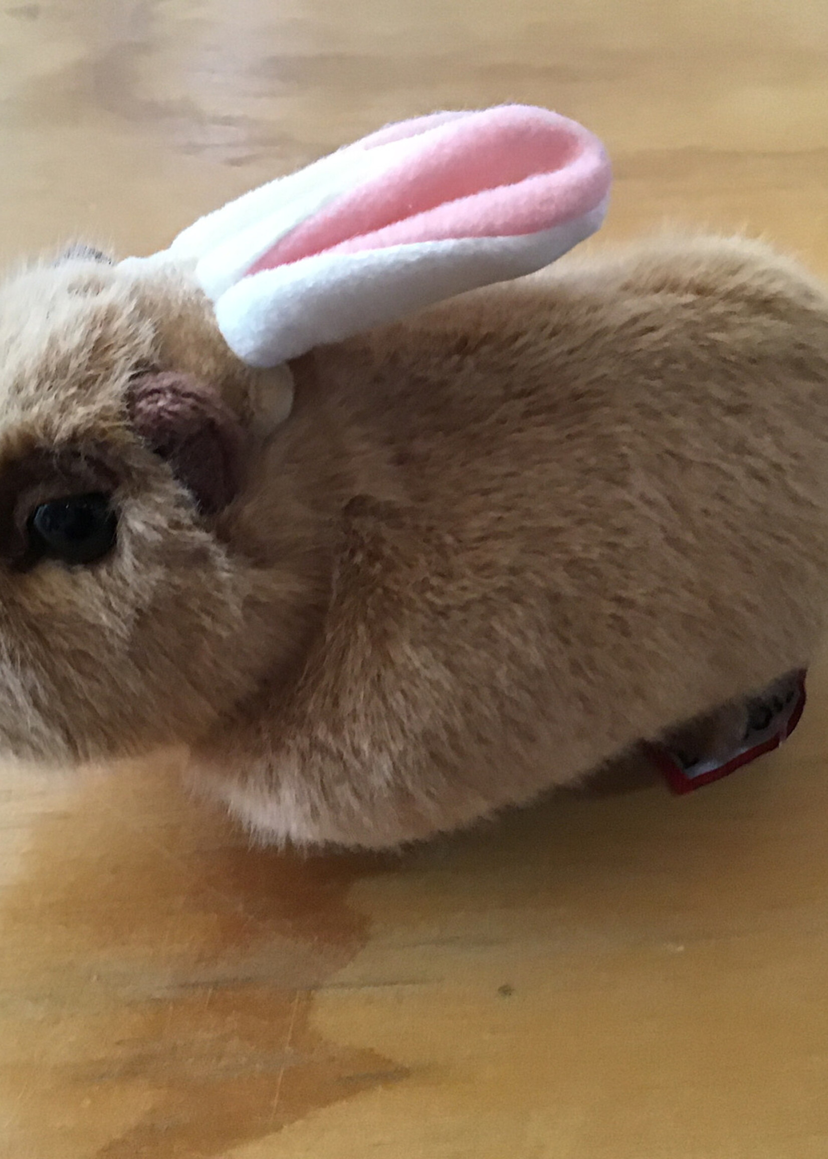 Douglas Stuffy - Capybara w/Bunny Ears