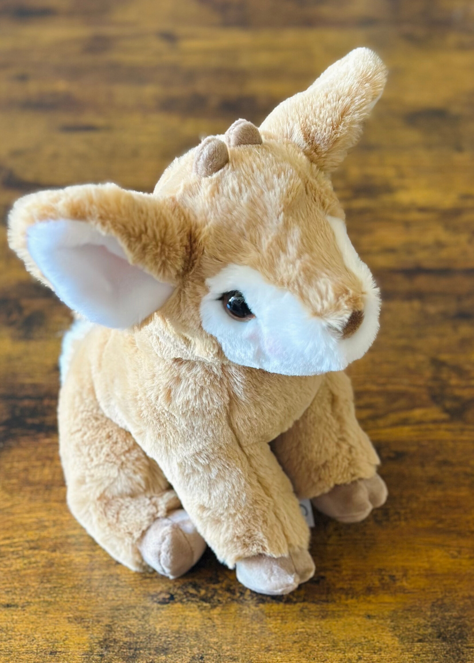 Douglas Stuffy - Fernie Fawn Soft