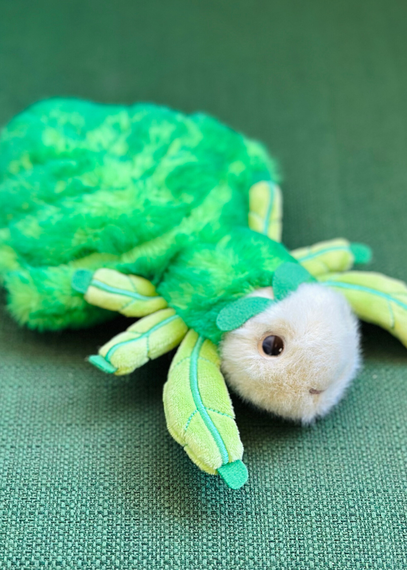 Douglas Stuffy - Larry Leaf Bug