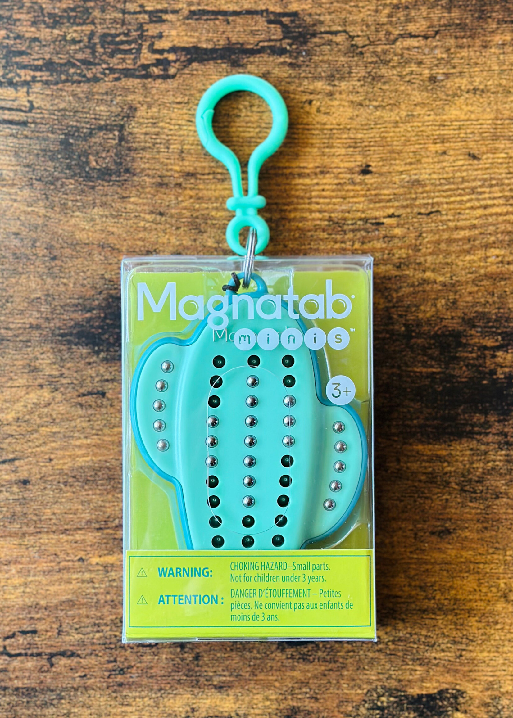 PlayMonster Magnatab Mini - Cactus