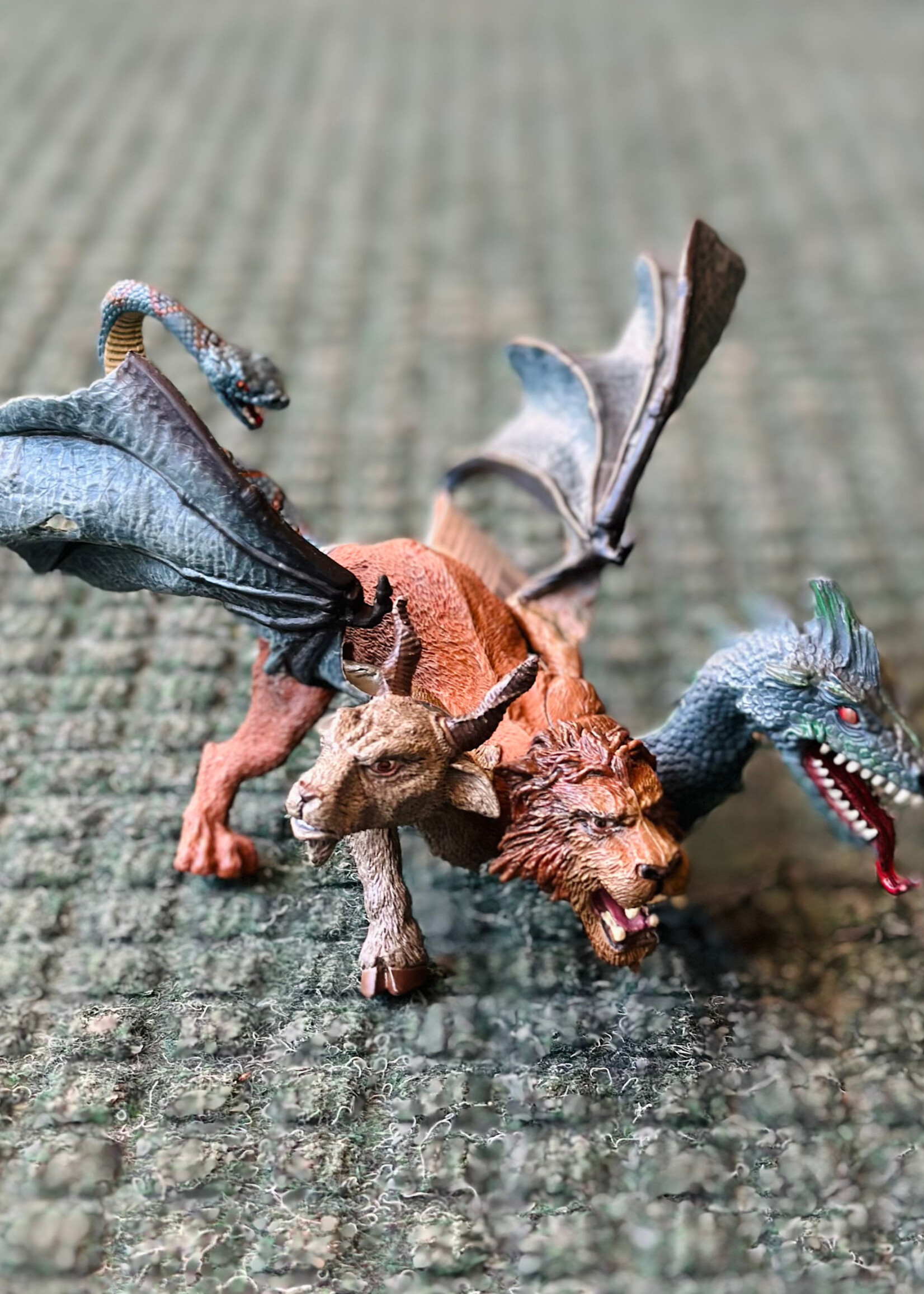 Safari Safari - Chimera