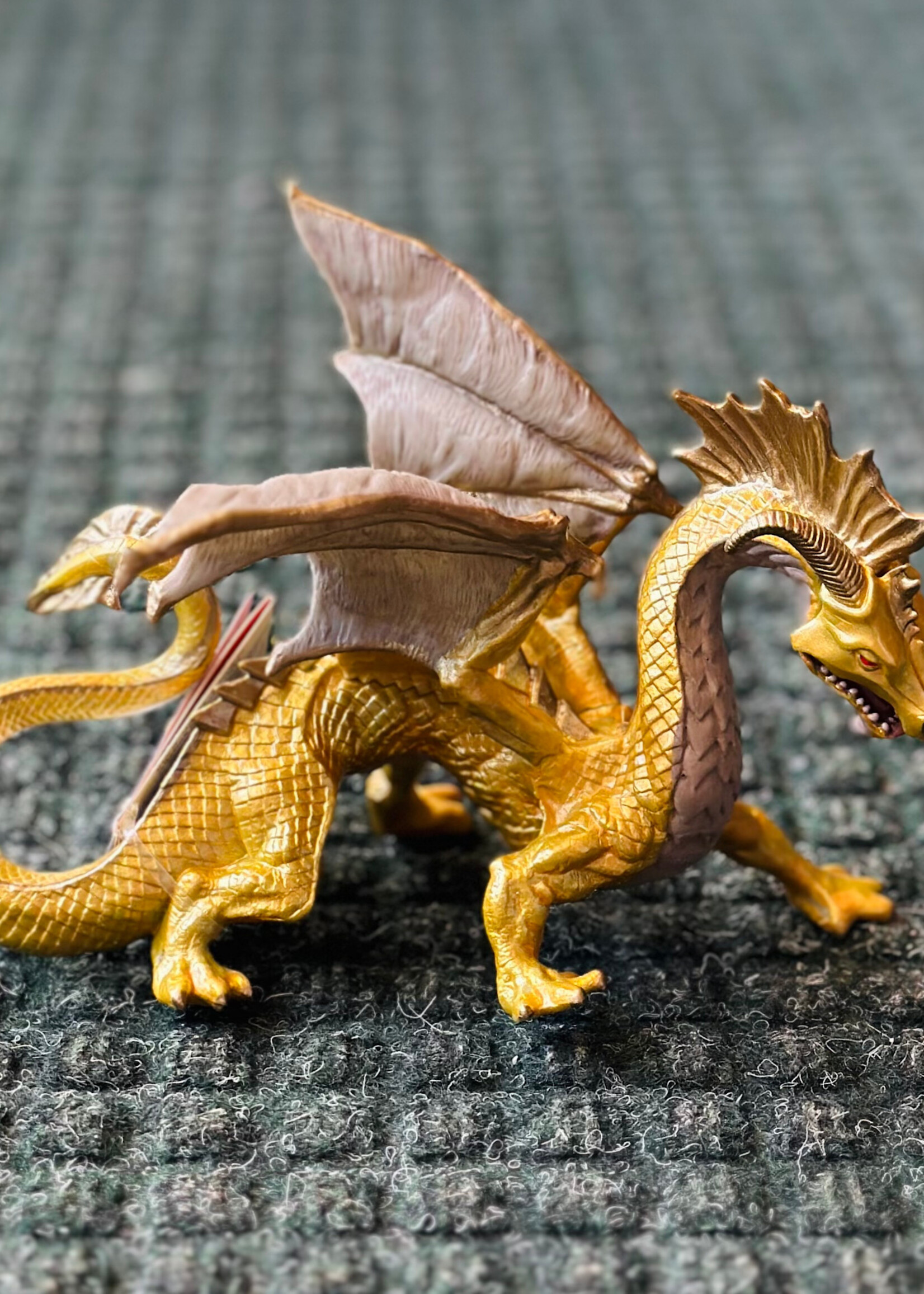 Safari Safari - Golden Dragon