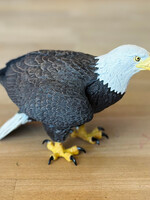 Safari Safari - Bald Eagle
