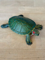 Safari Safari - Red-Eared Slider Turtle