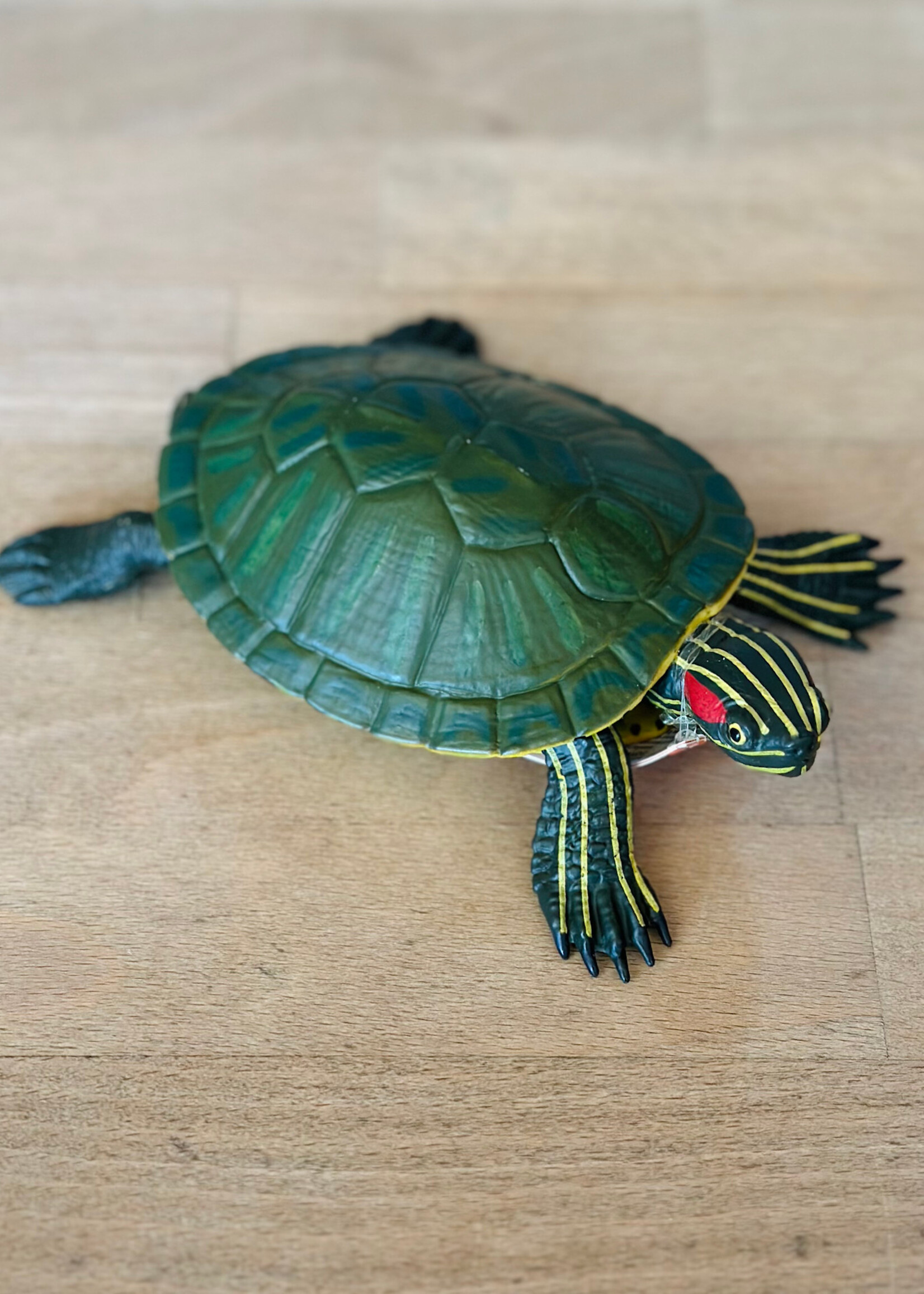 Safari Safari - Red-Eared Slider Turtle
