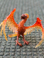 Safari Safari - Phoenix