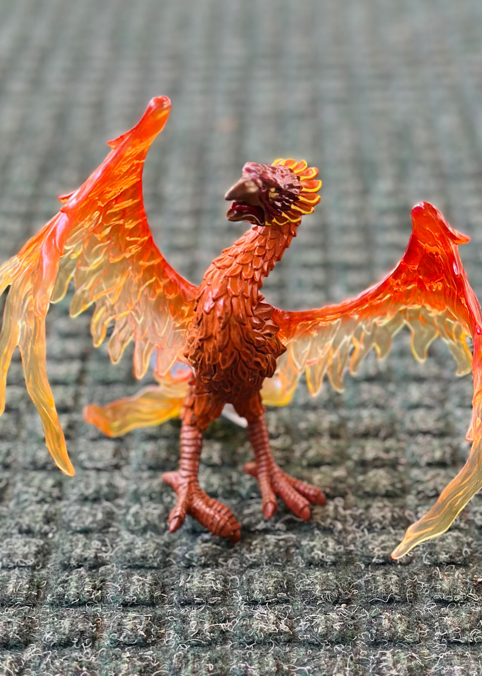 Safari Safari - Phoenix