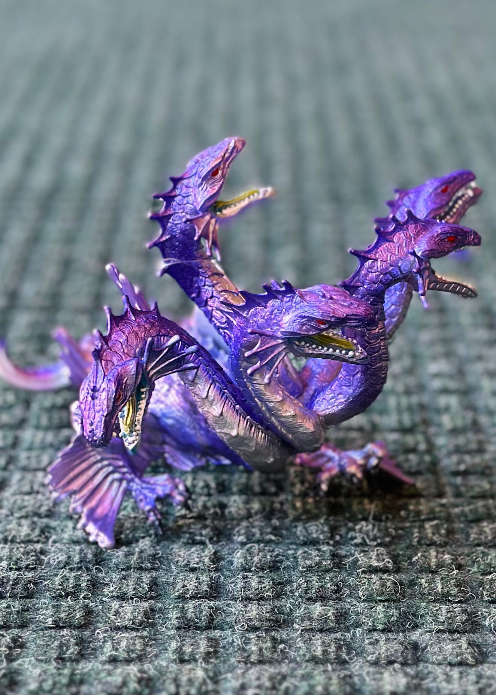 Safari Safari - Hydra