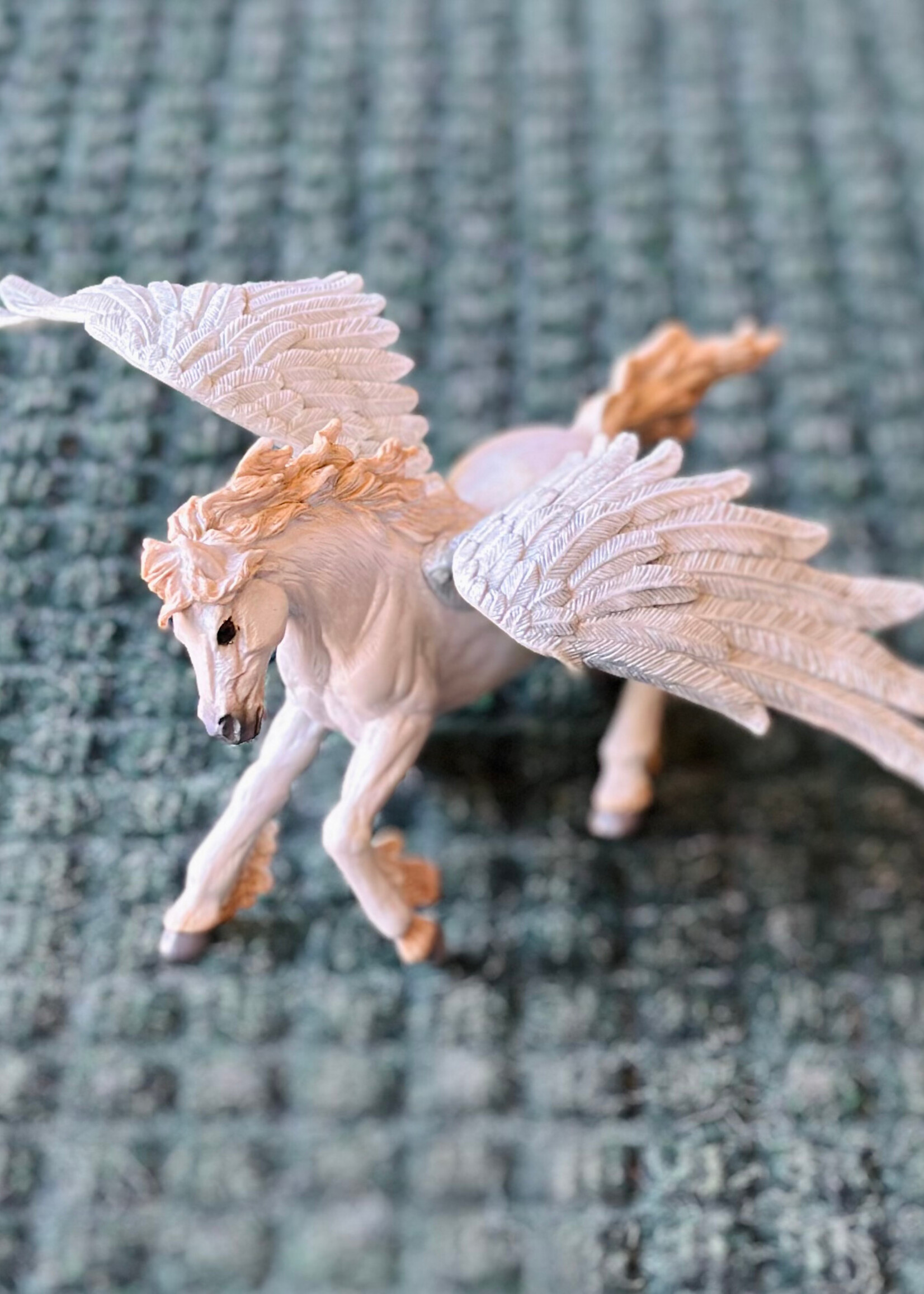 Safari Safari - Pegasus