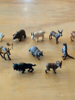 Safari Safari - North American Wildlife