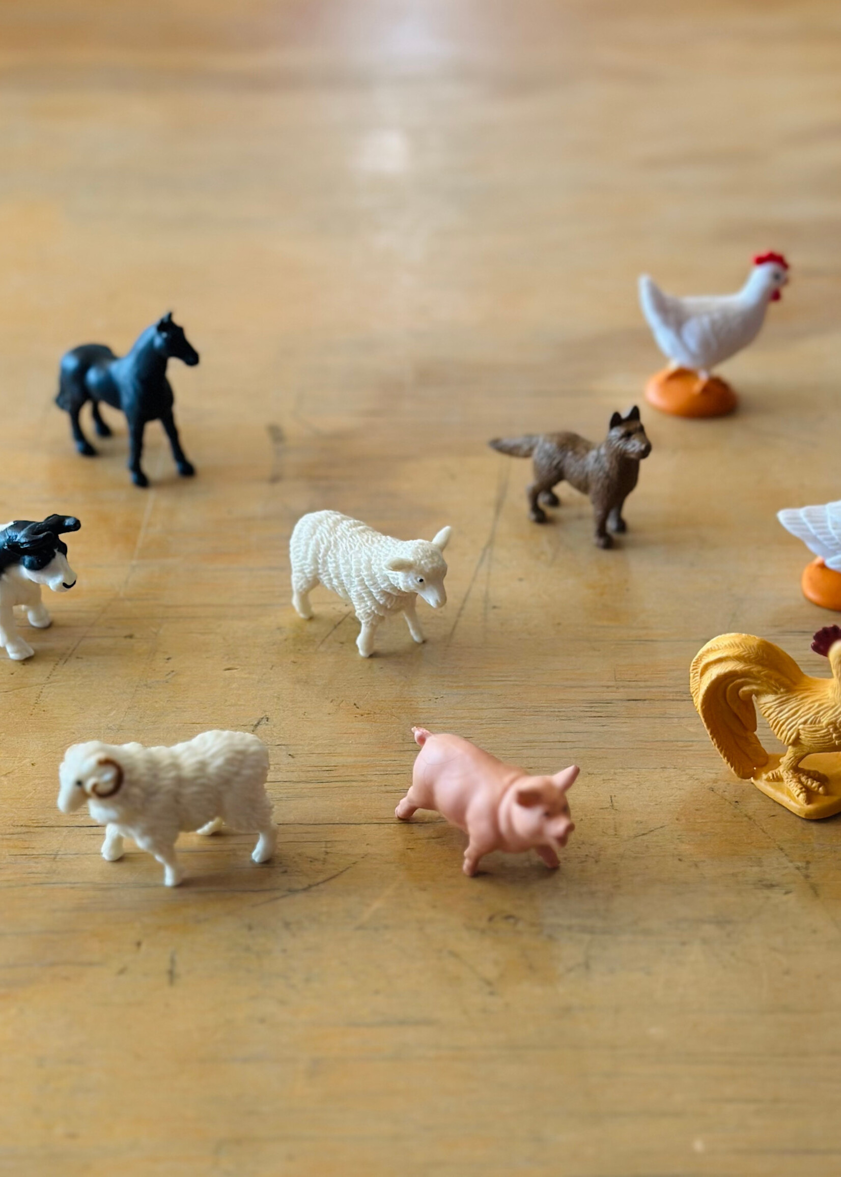 Safari Safari - Farm