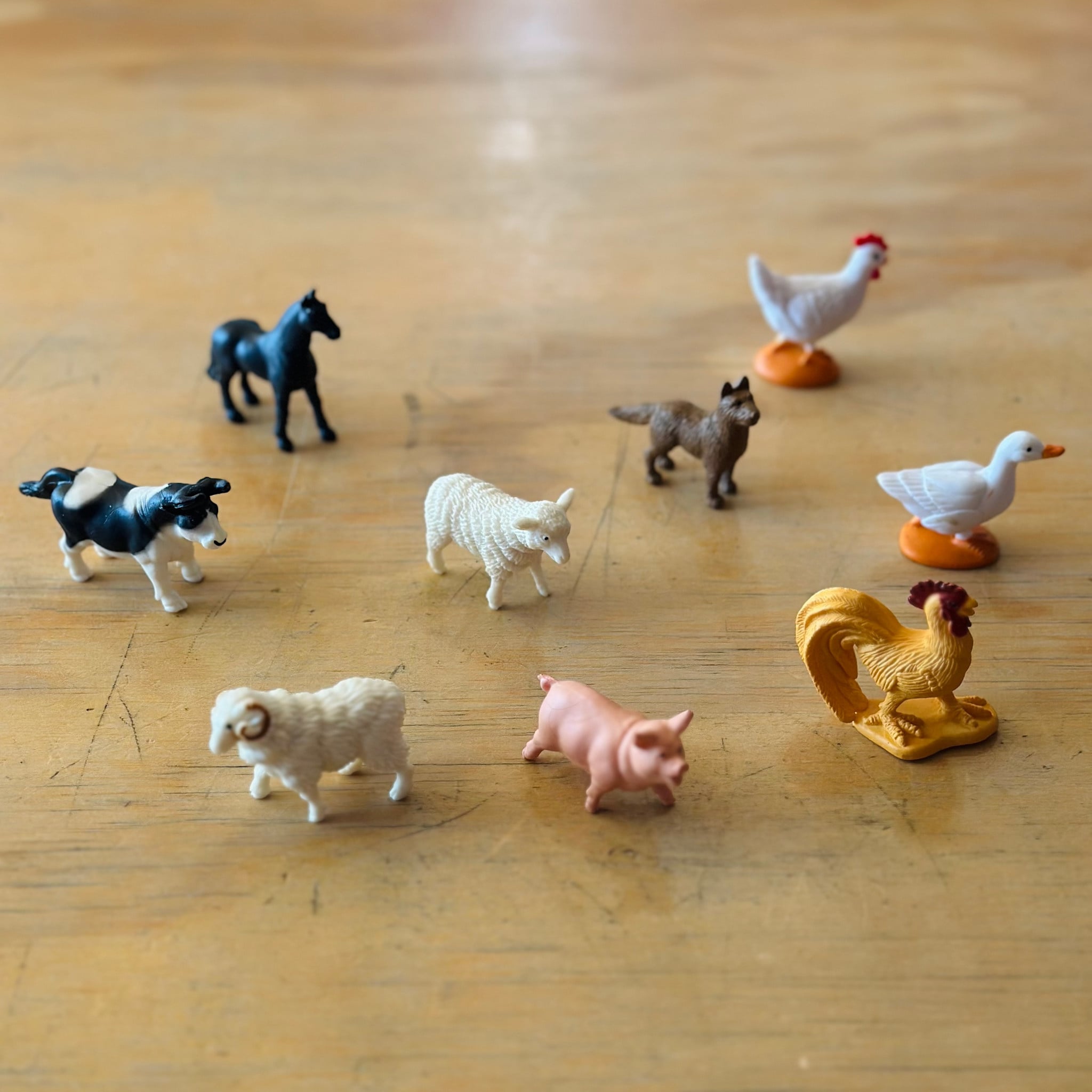 Safari - Farm