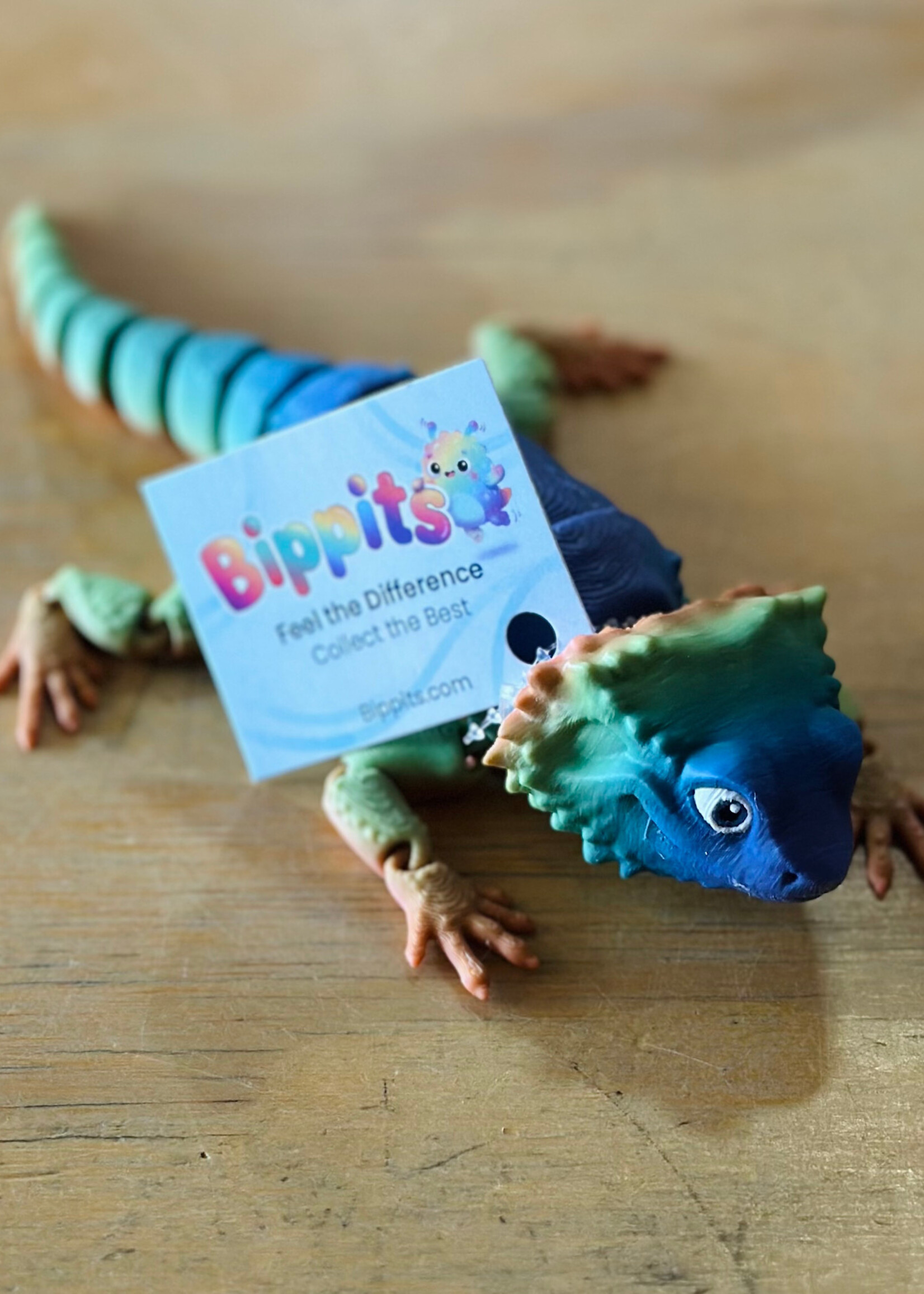 Bumpa Built Bearded Dragon (Bippit)
