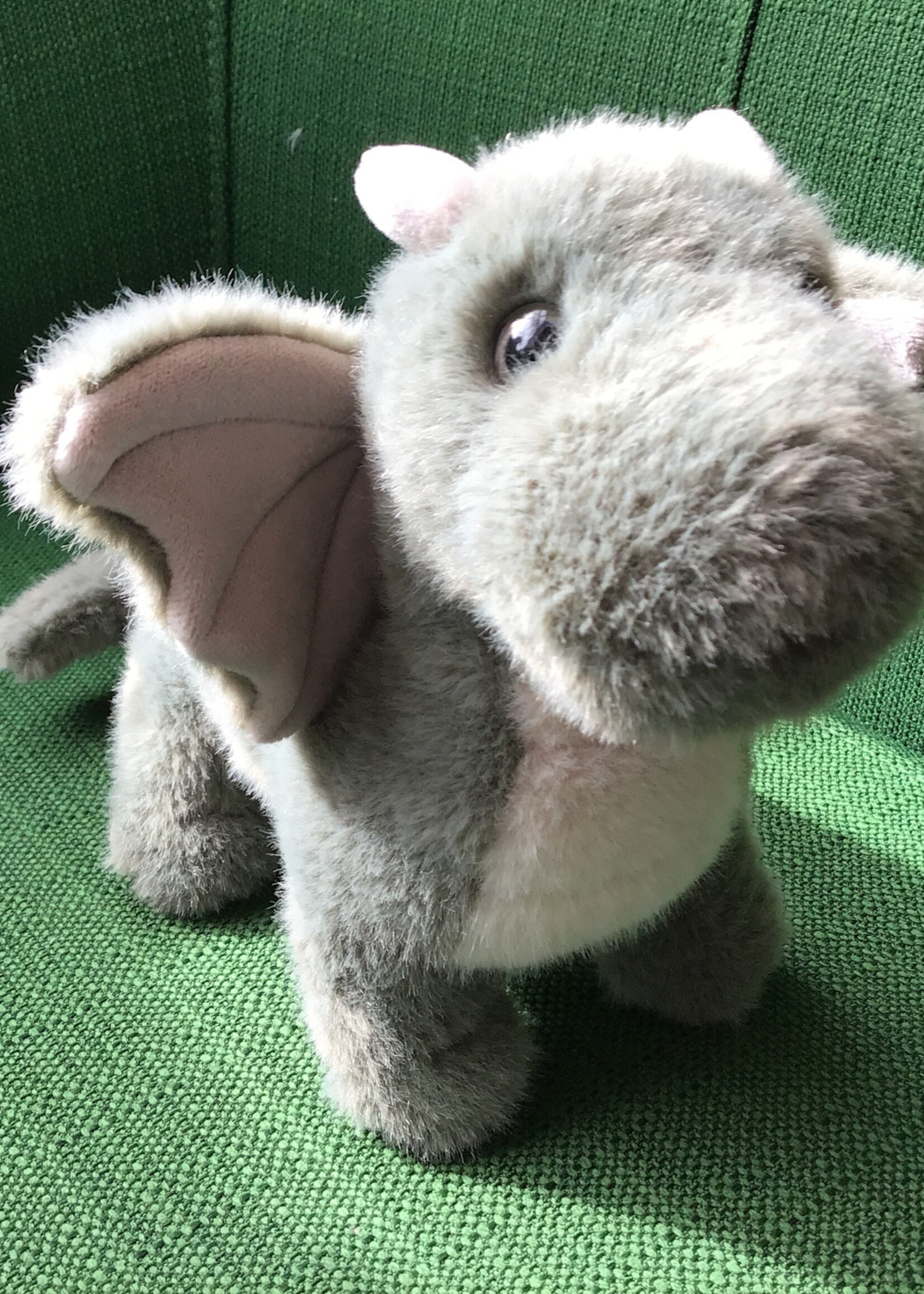 Douglas Dustin Dragon