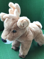 Douglas Staggie Deer