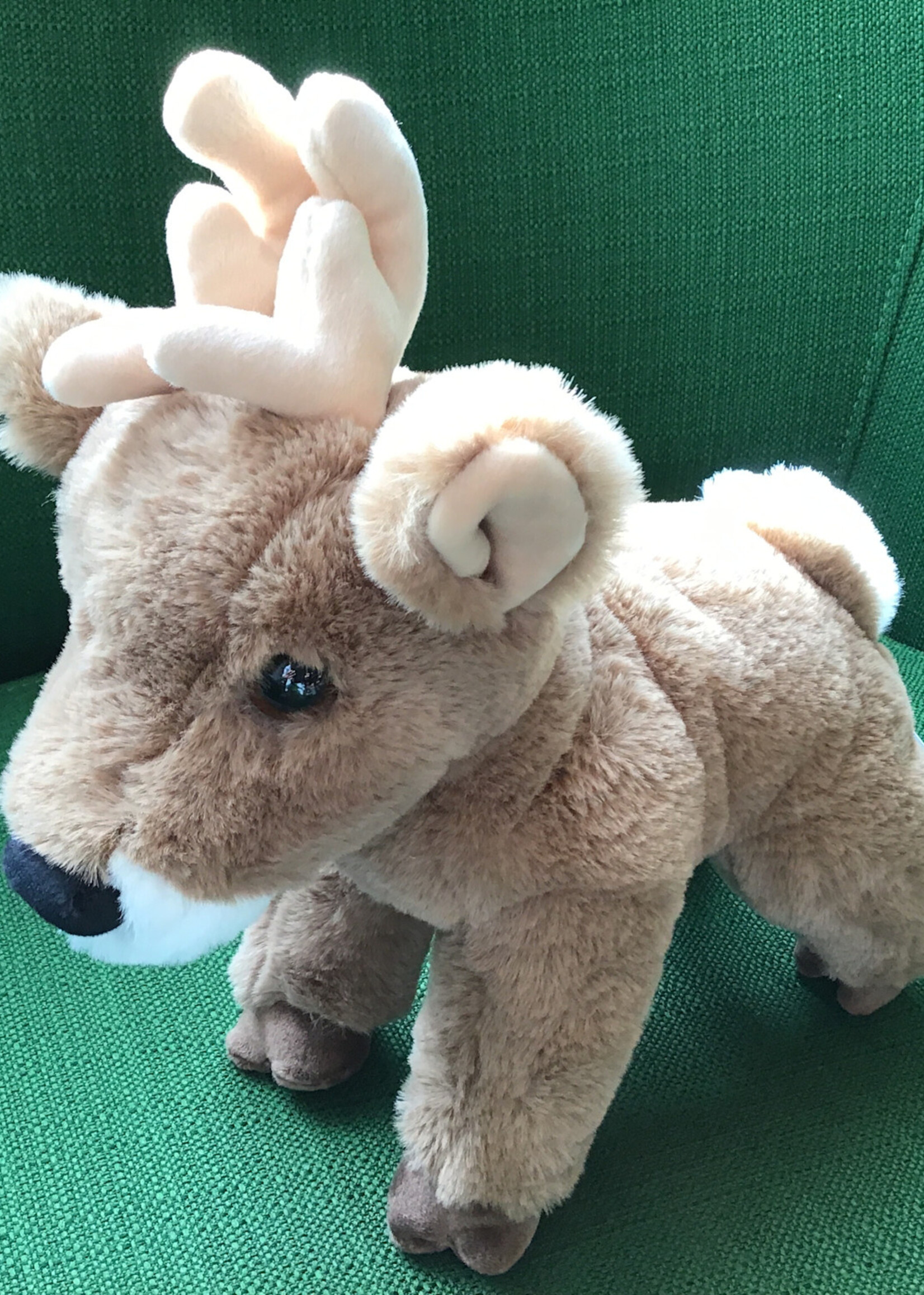 Douglas Staggie Deer