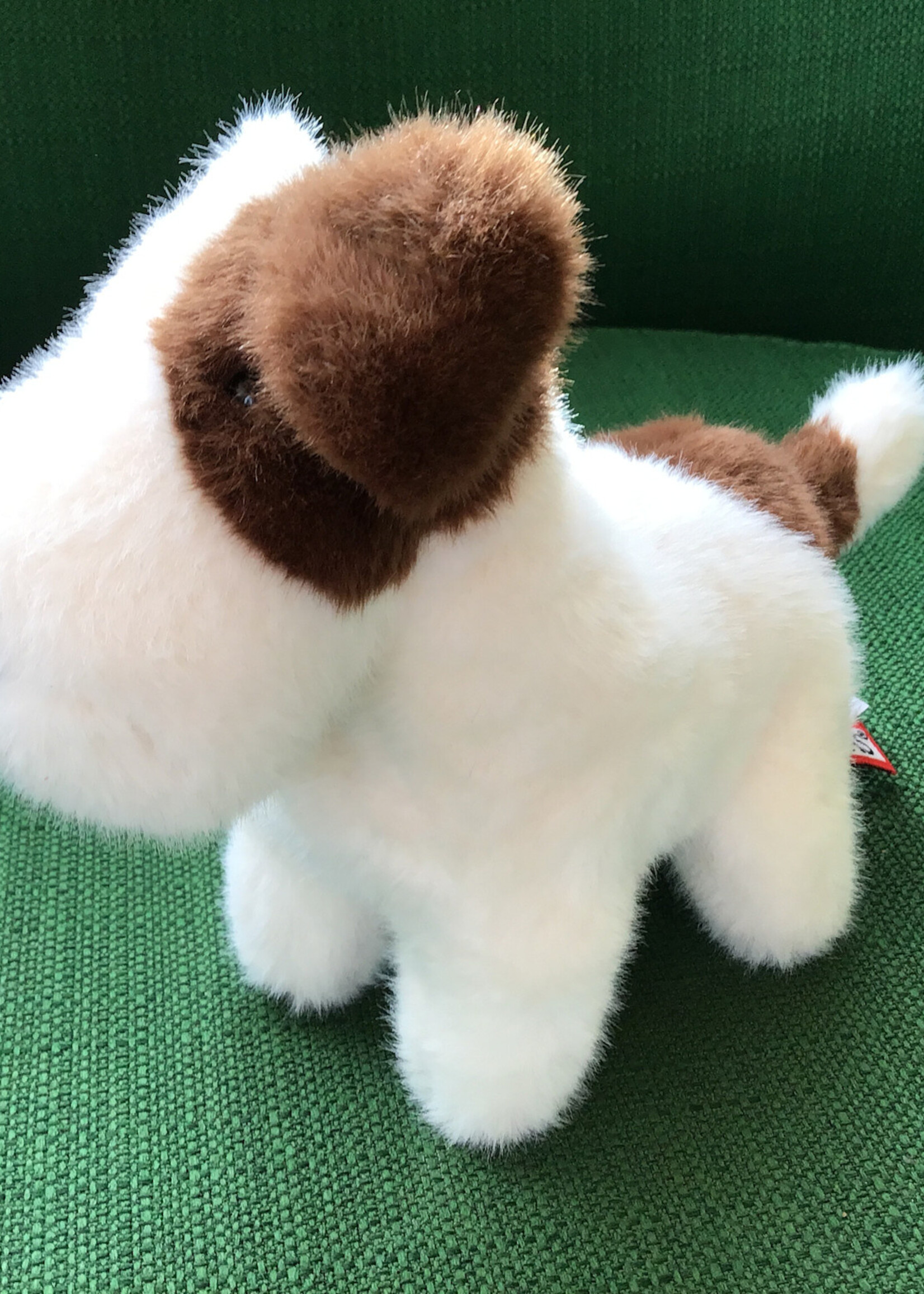 Douglas Tammy Dog Muzzle