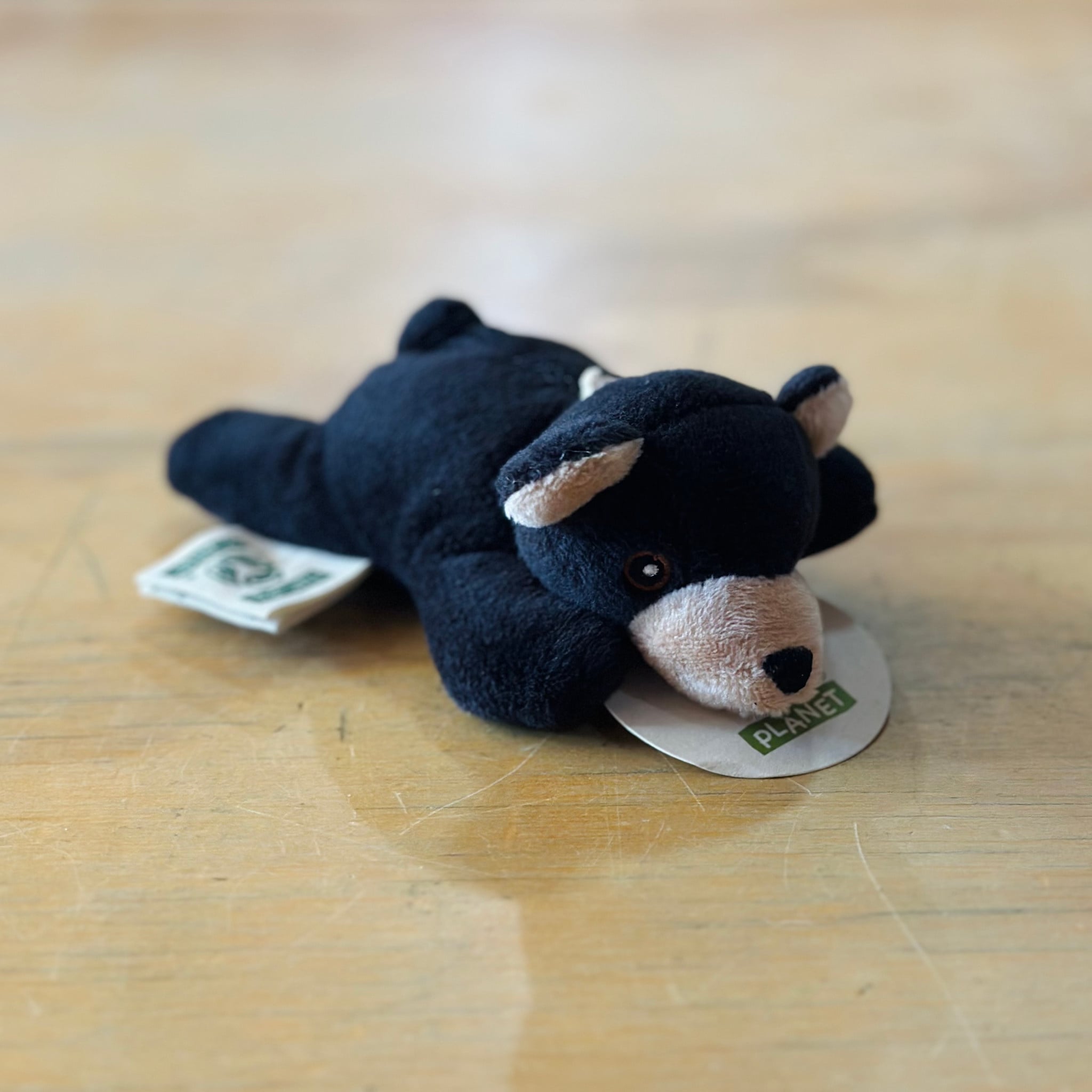 Wild Beans - Black Bear
