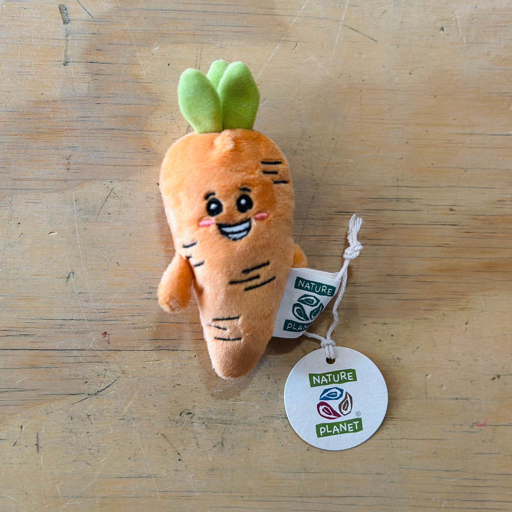 Wild Beans - Carrot