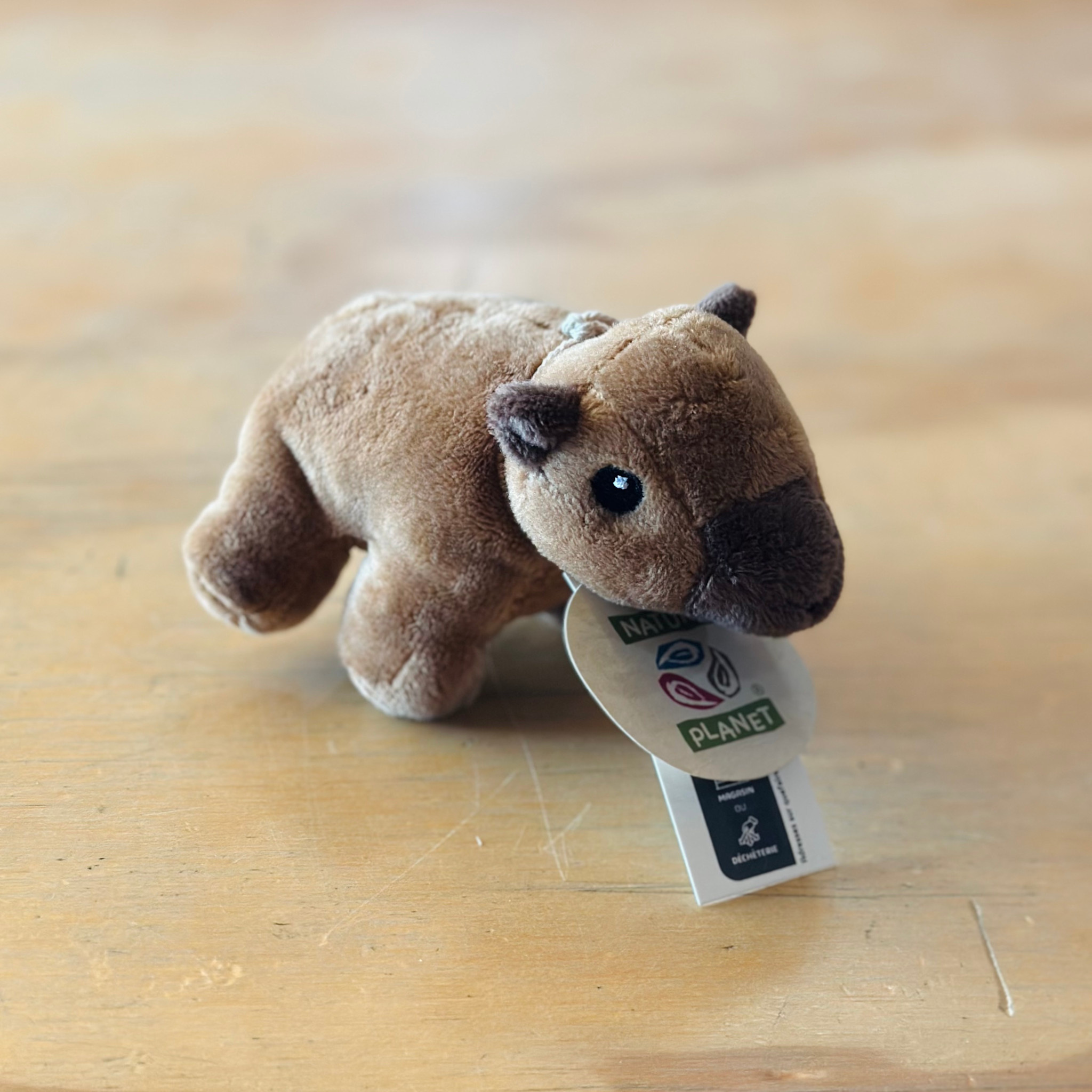 Wild Beans - Capybara
