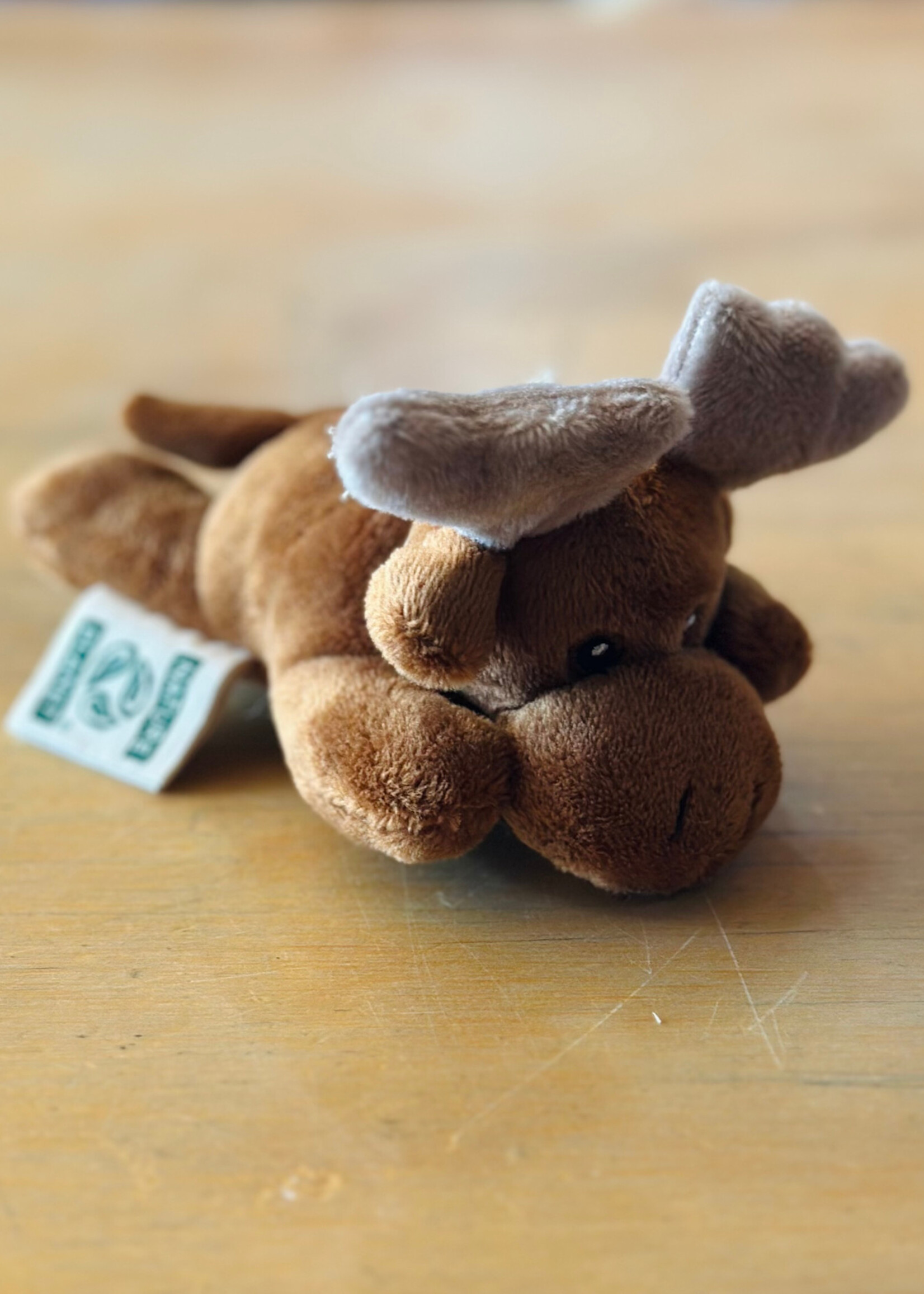 Nature Planet Wild Beans - Moose