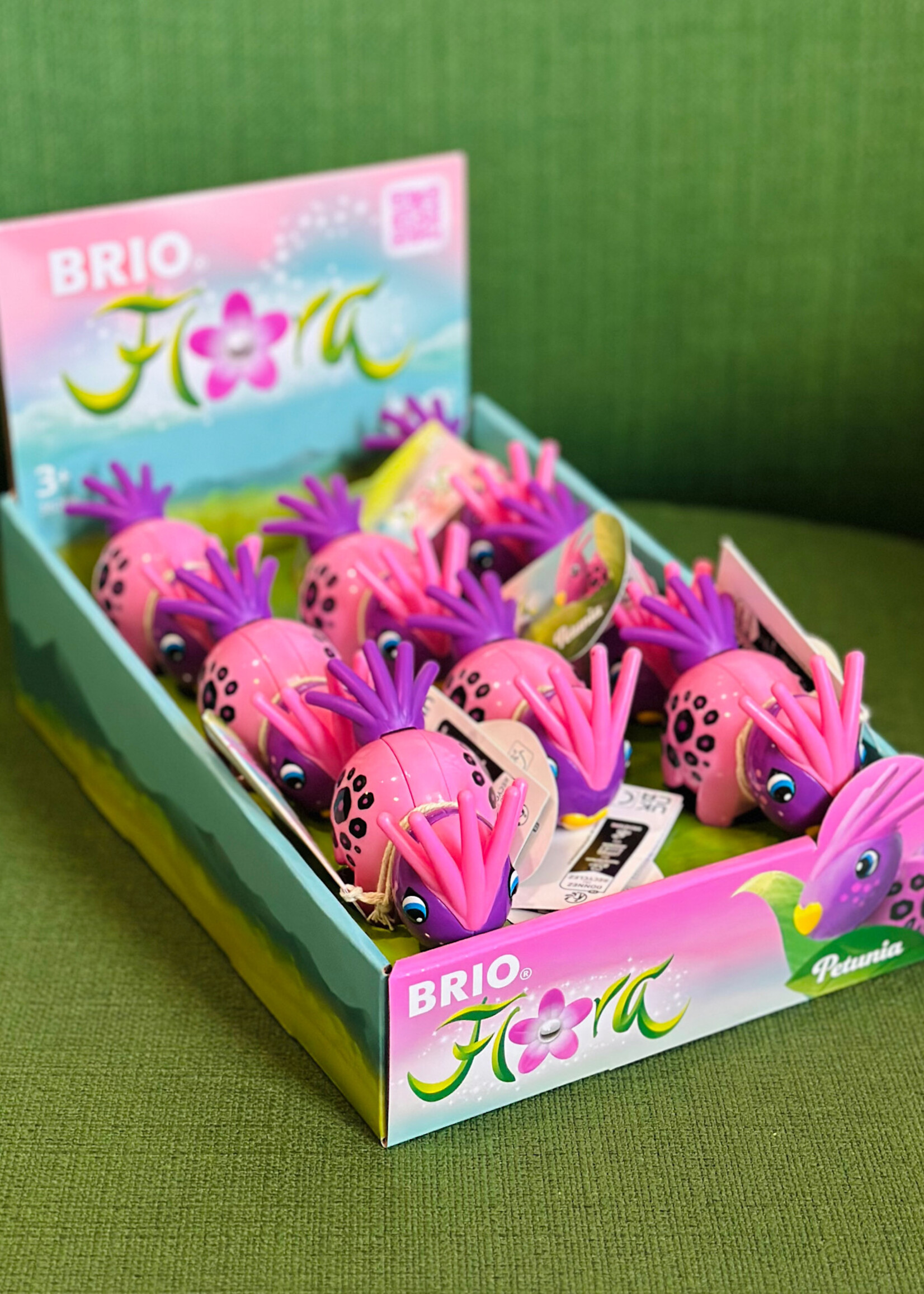 Brio Flora - Petunia
