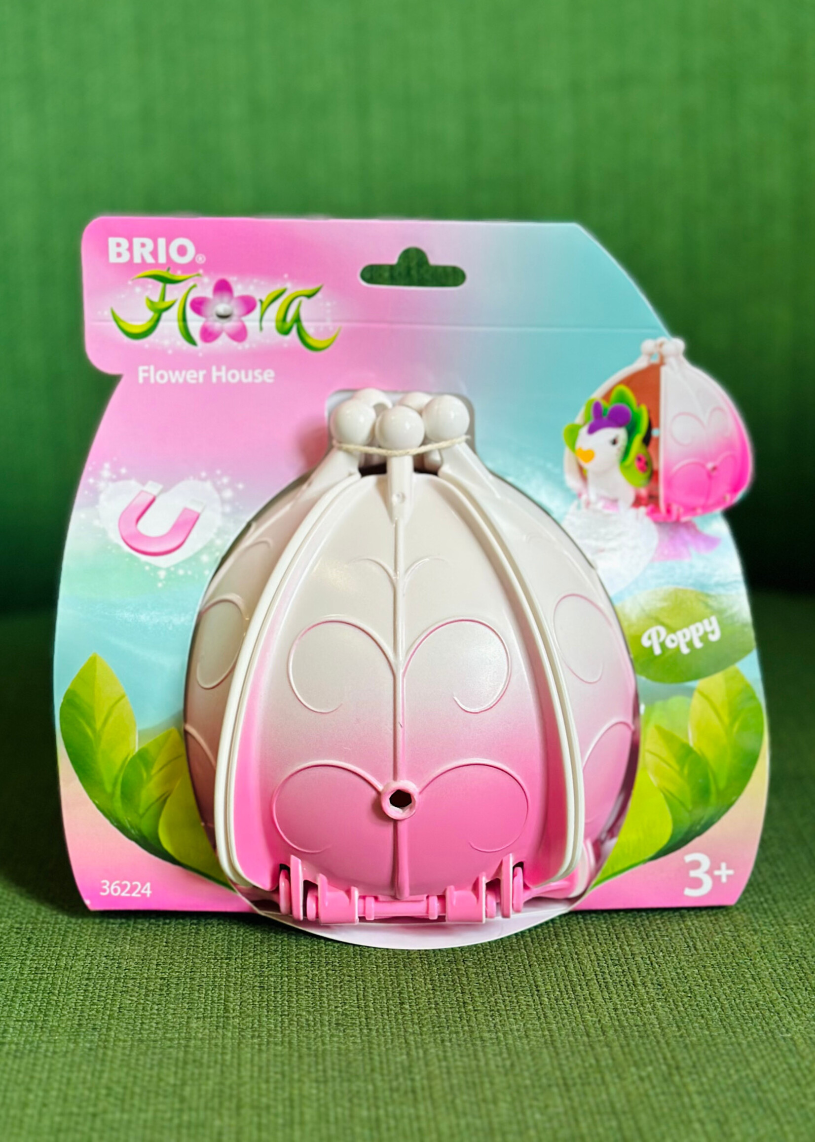 Brio Flora - Poppy Flower House