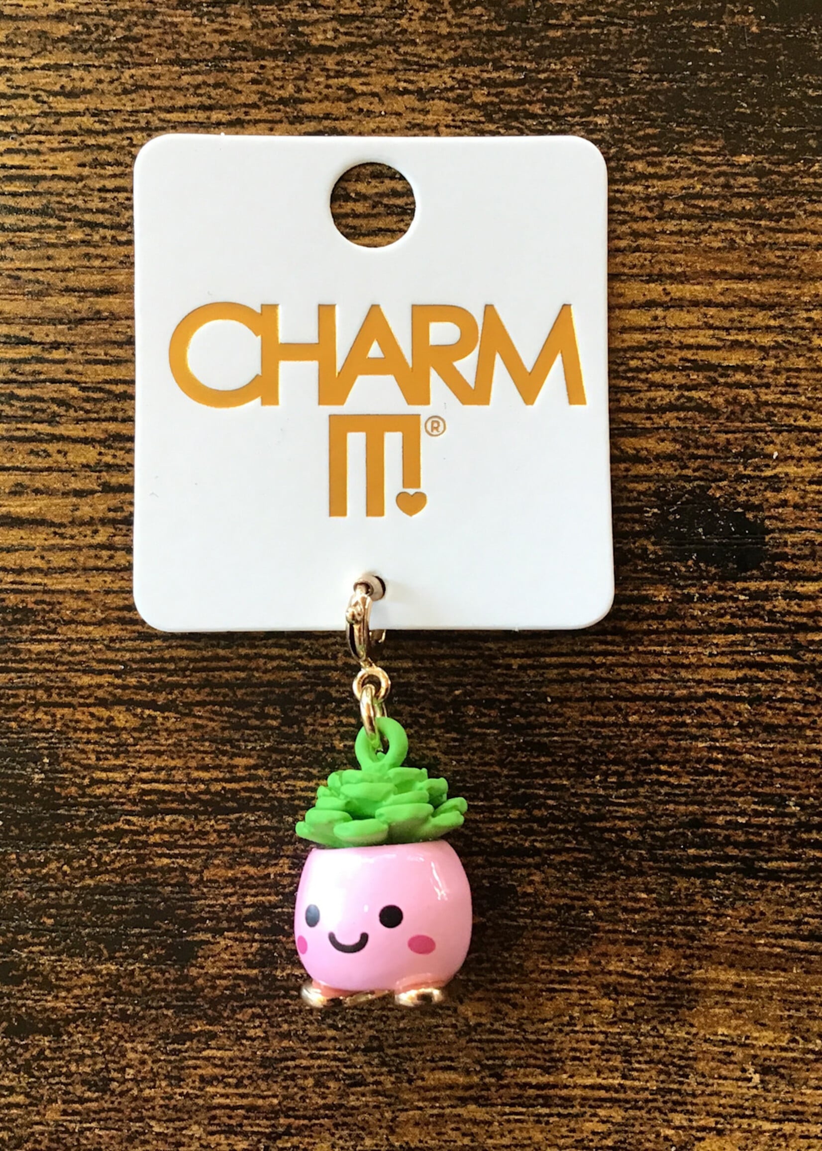 Charm It! Charm It! - Gold Happy Succulent Charm