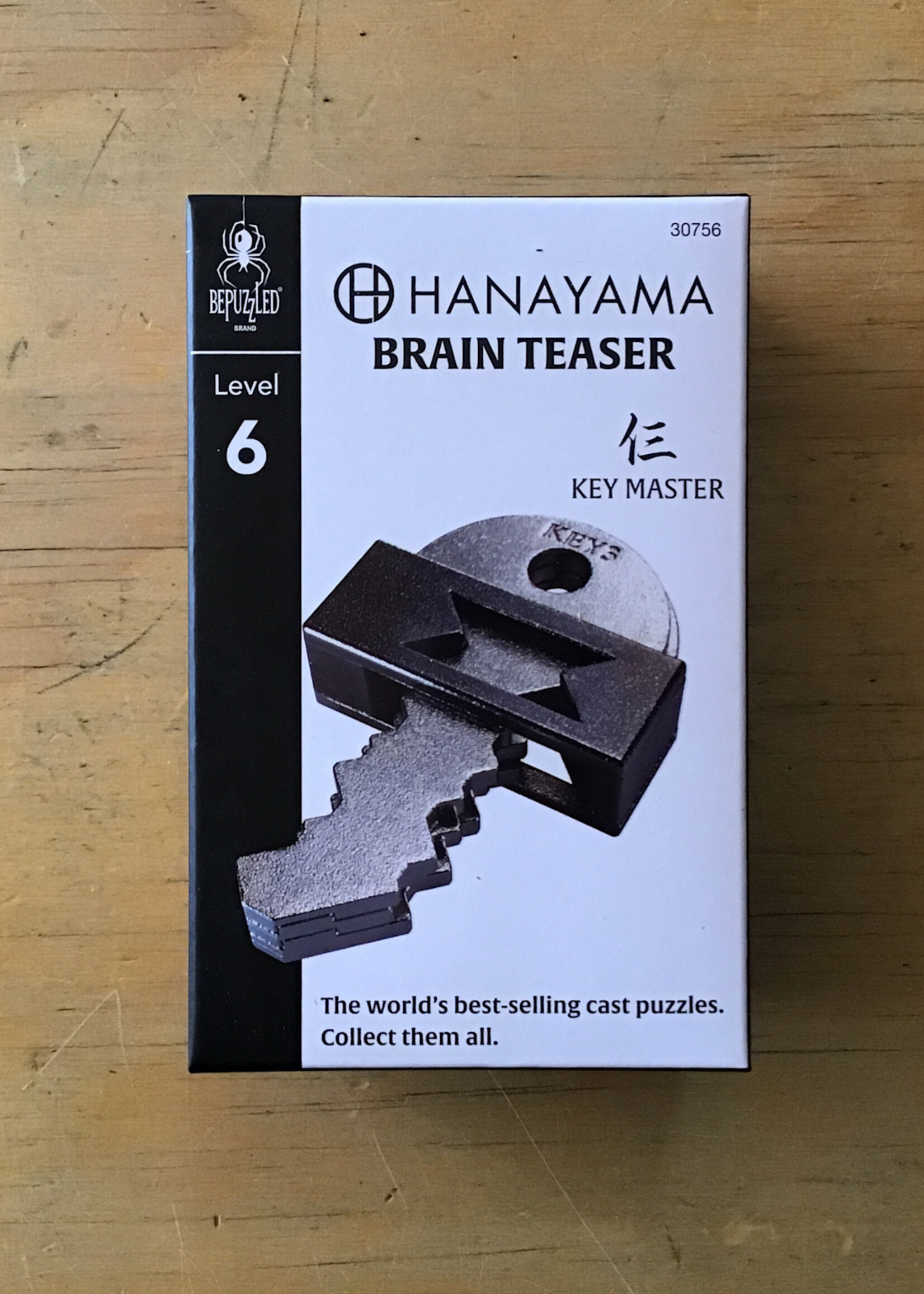 Hanayama Puzzle - Metal Key Master (Level 6)