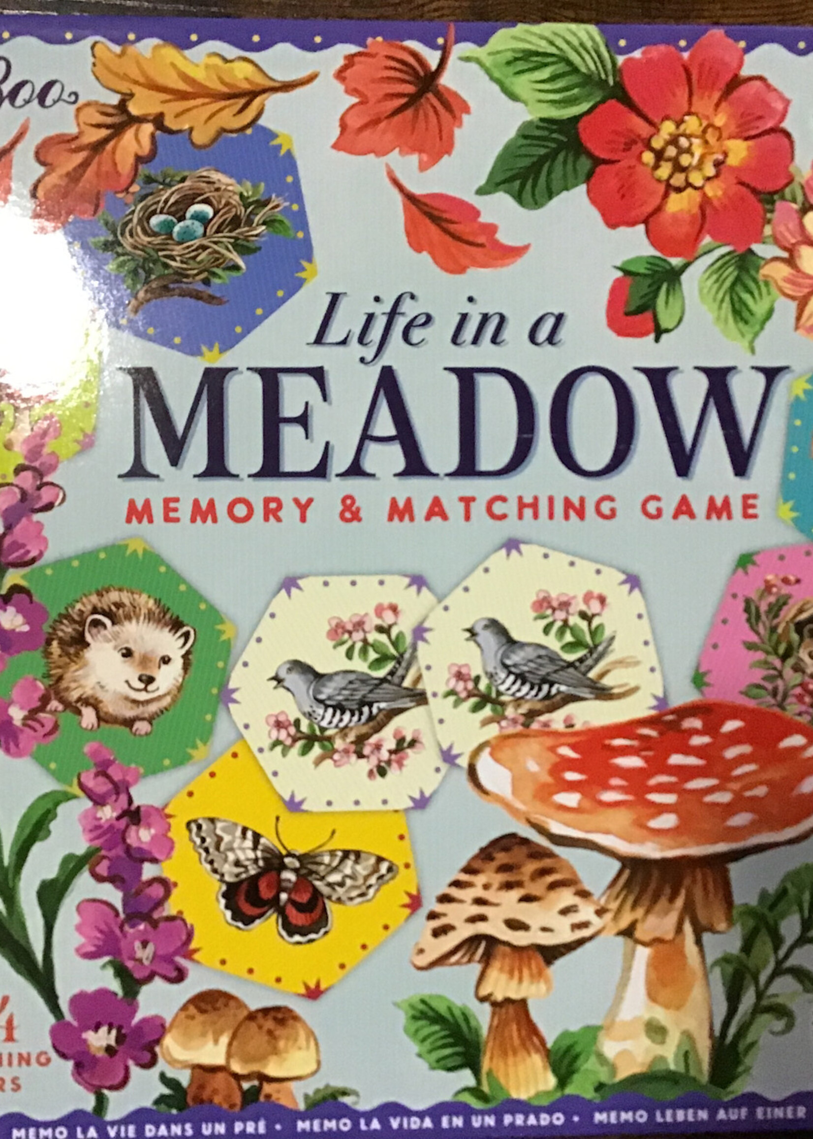 eeBoo Life in a Meadow Matching Game