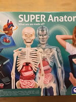 clementoni S.T.E.M - Super Anatomy