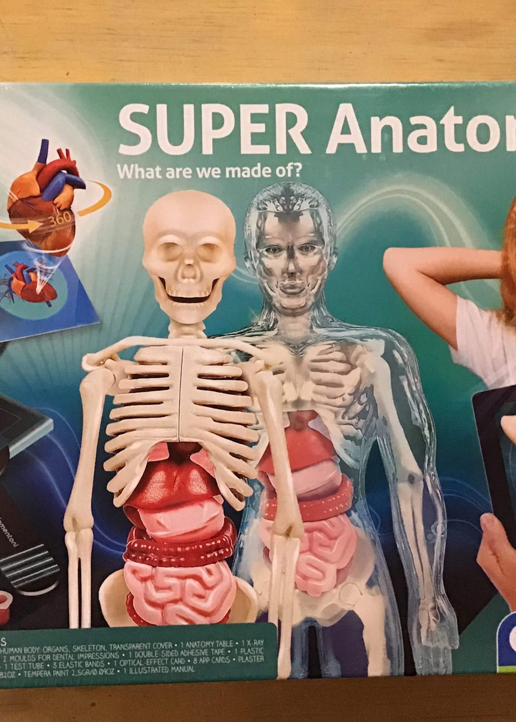 clementoni S.T.E.M - Super Anatomy
