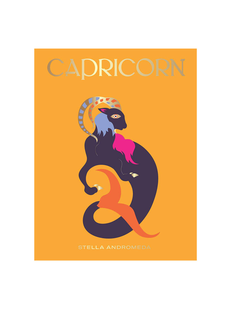 Zodiac Guide Book - Capricorn