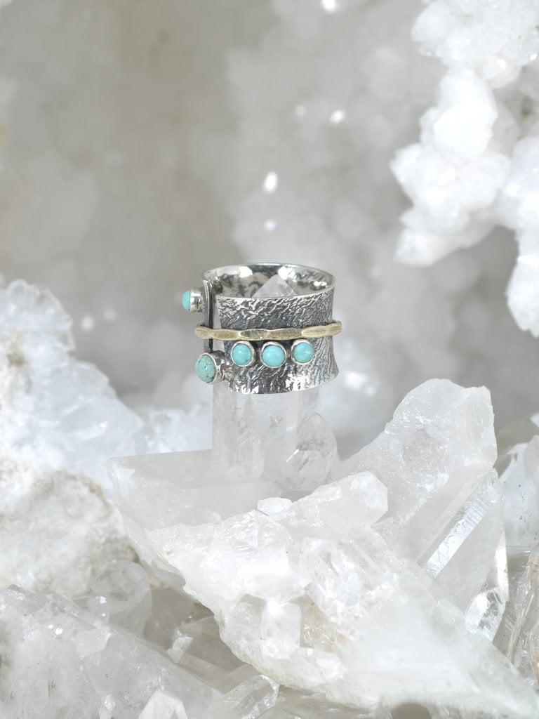 Turquoise Sterling Fidget Ring
