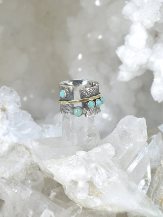Turquoise Sterling Fidget Ring Turquoise Sterling Fidget Ring