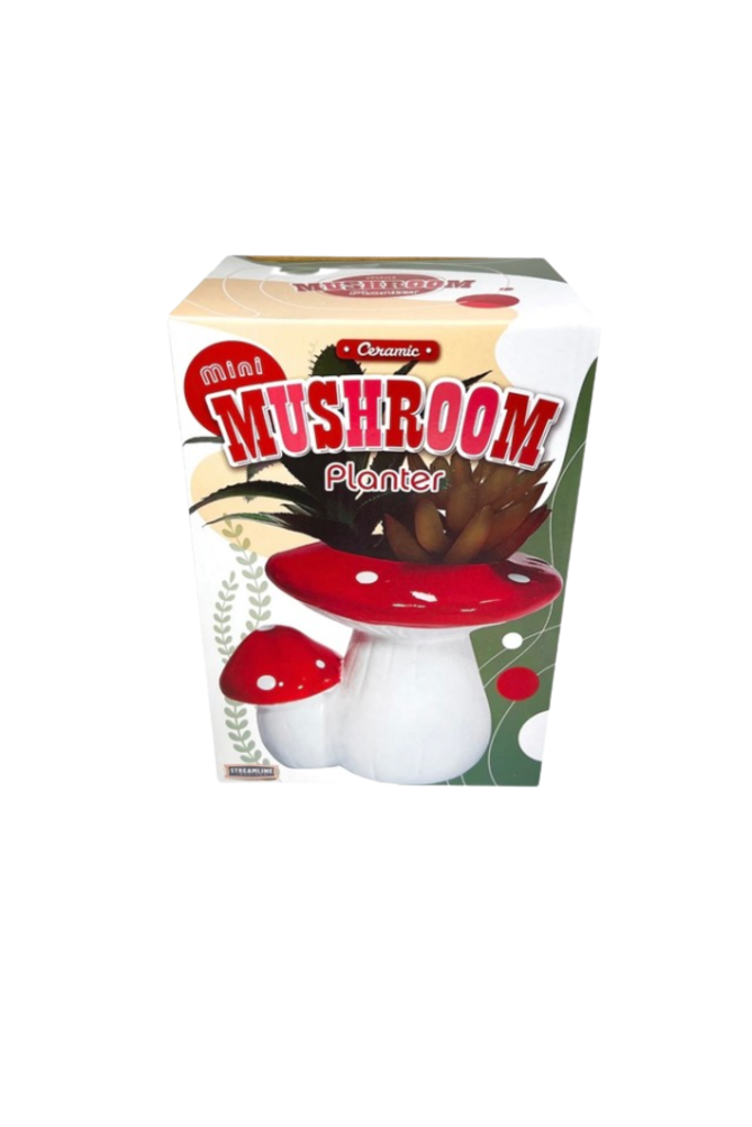 Mini Mushroom w/ Faux Succulent