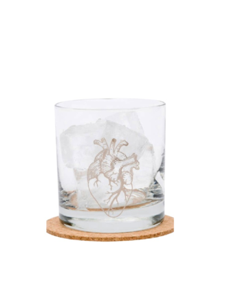 Anatomical Heart Rocks Glass Anatomical Heart Rocks Glass