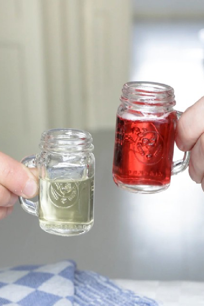 Kikkerland Mason Jar Shot Glass Set