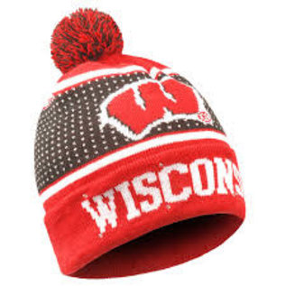 wisconsin badgers beanie